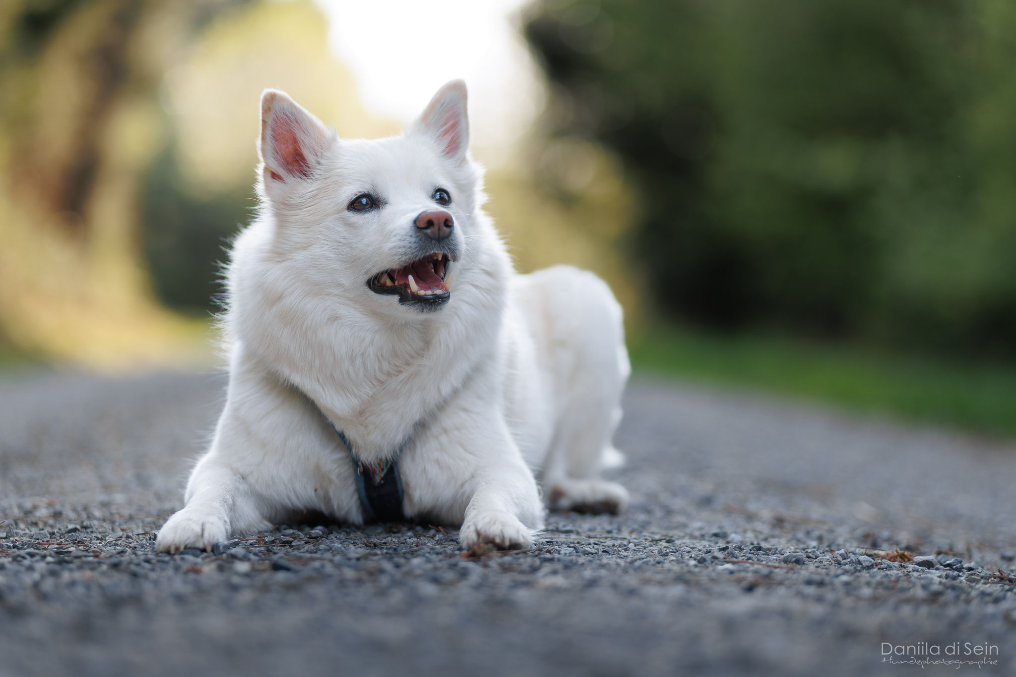 1/500, f2.0, ISO 100, 85mm