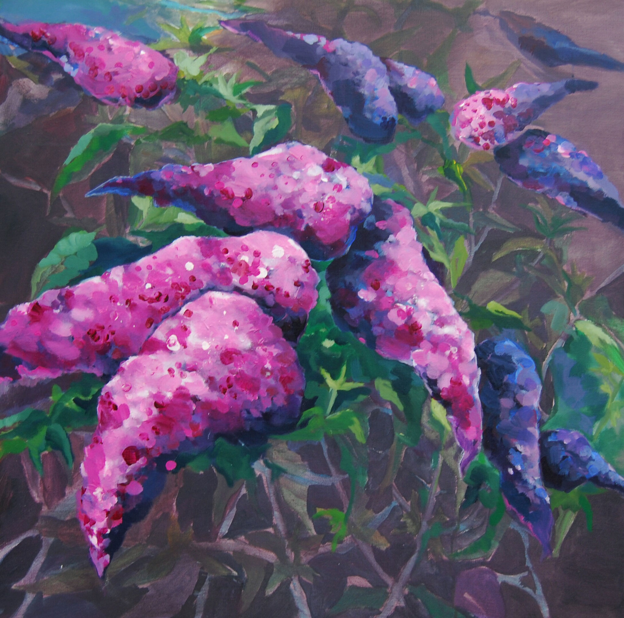 Buddleya,100x100cm