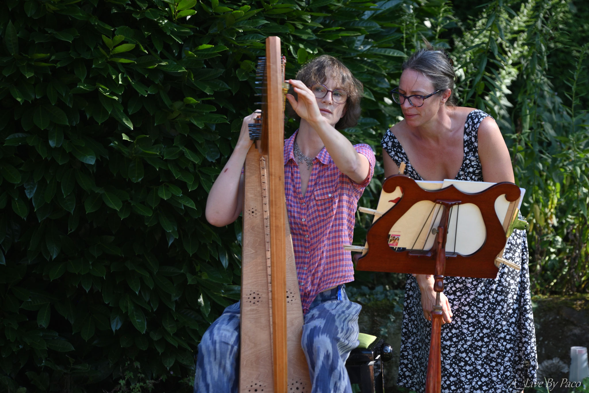 Harp'n Poetry