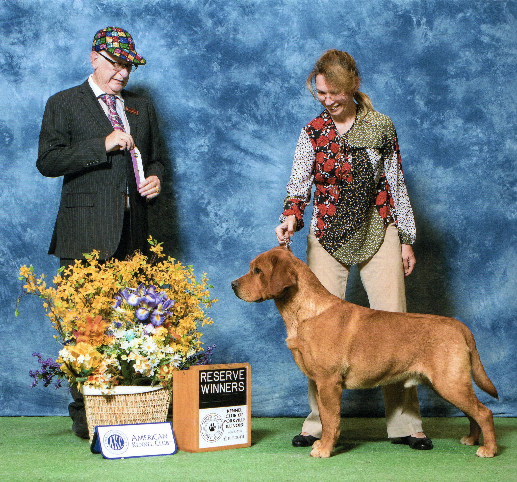 Training For Therapy Dogs Near Me Training For Therapy Dogs Near Me