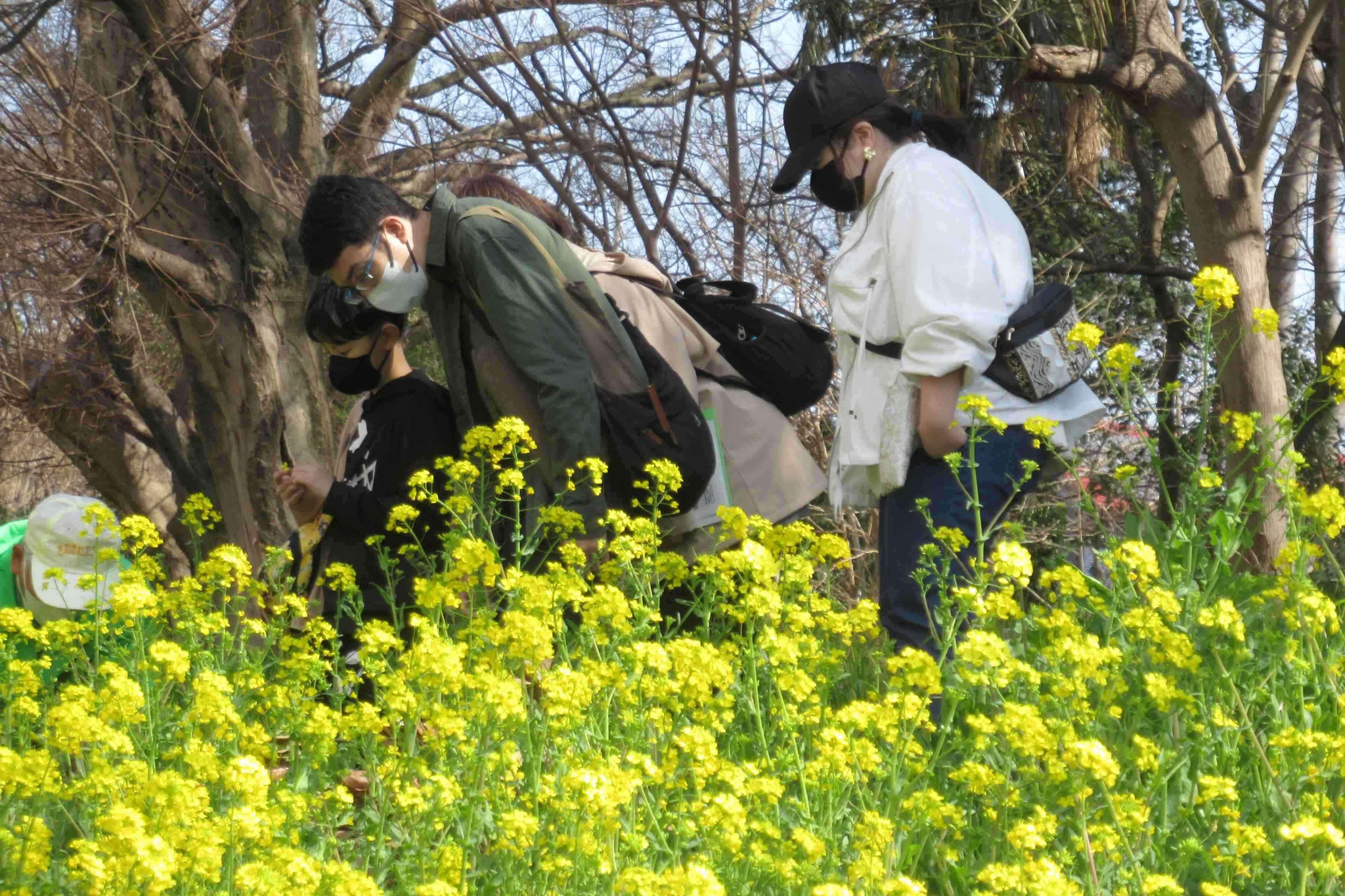 観察中