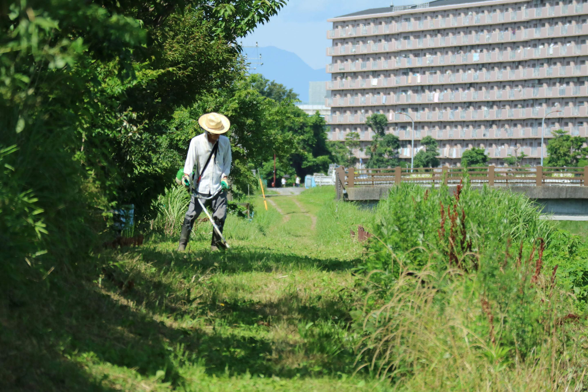 作業中