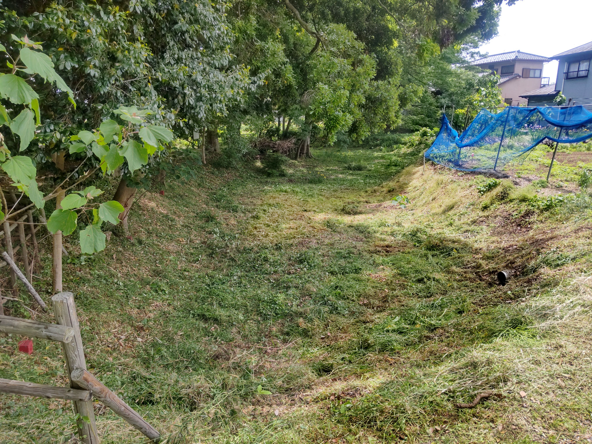 作業後_旧川床