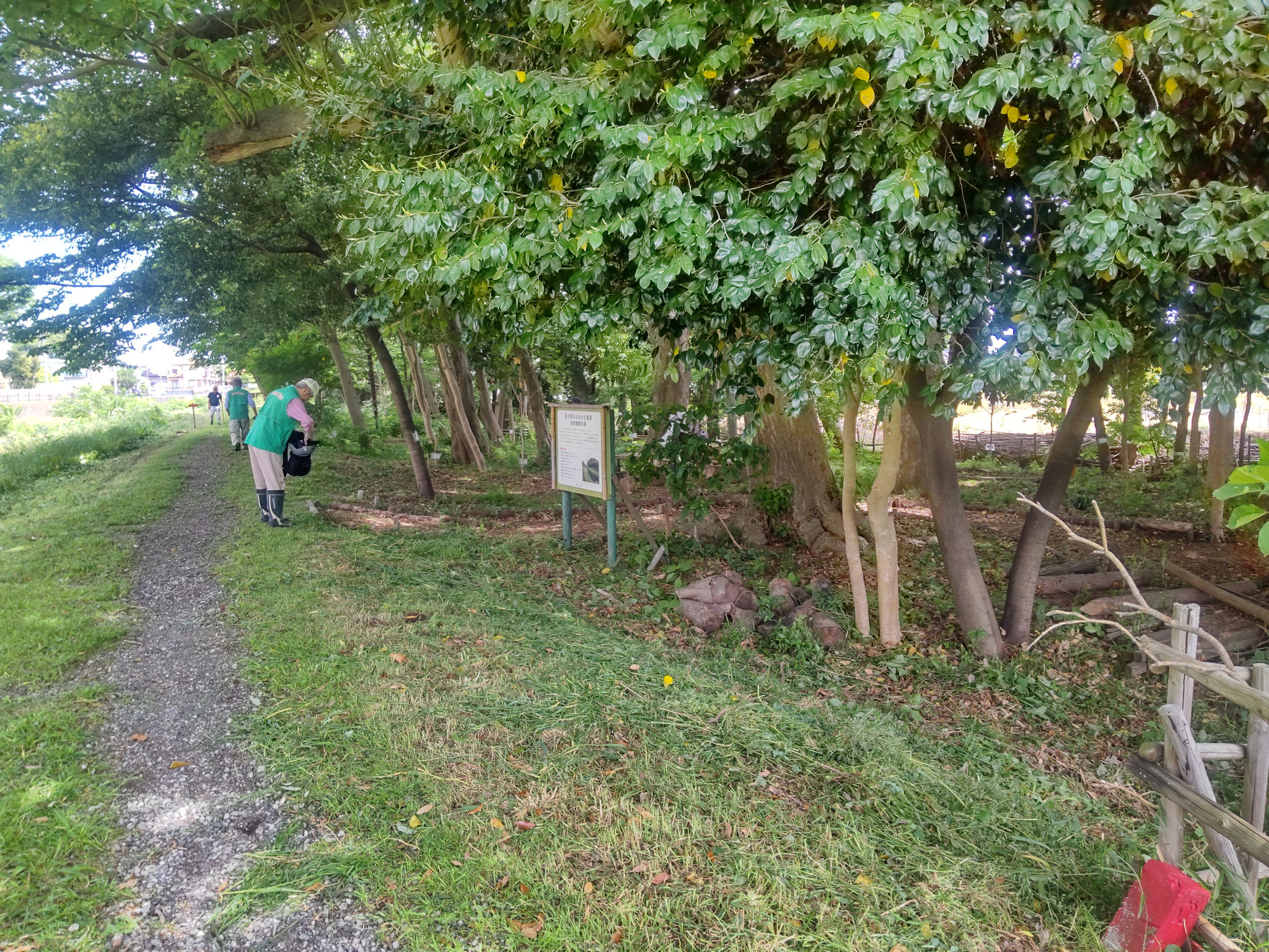 作業後