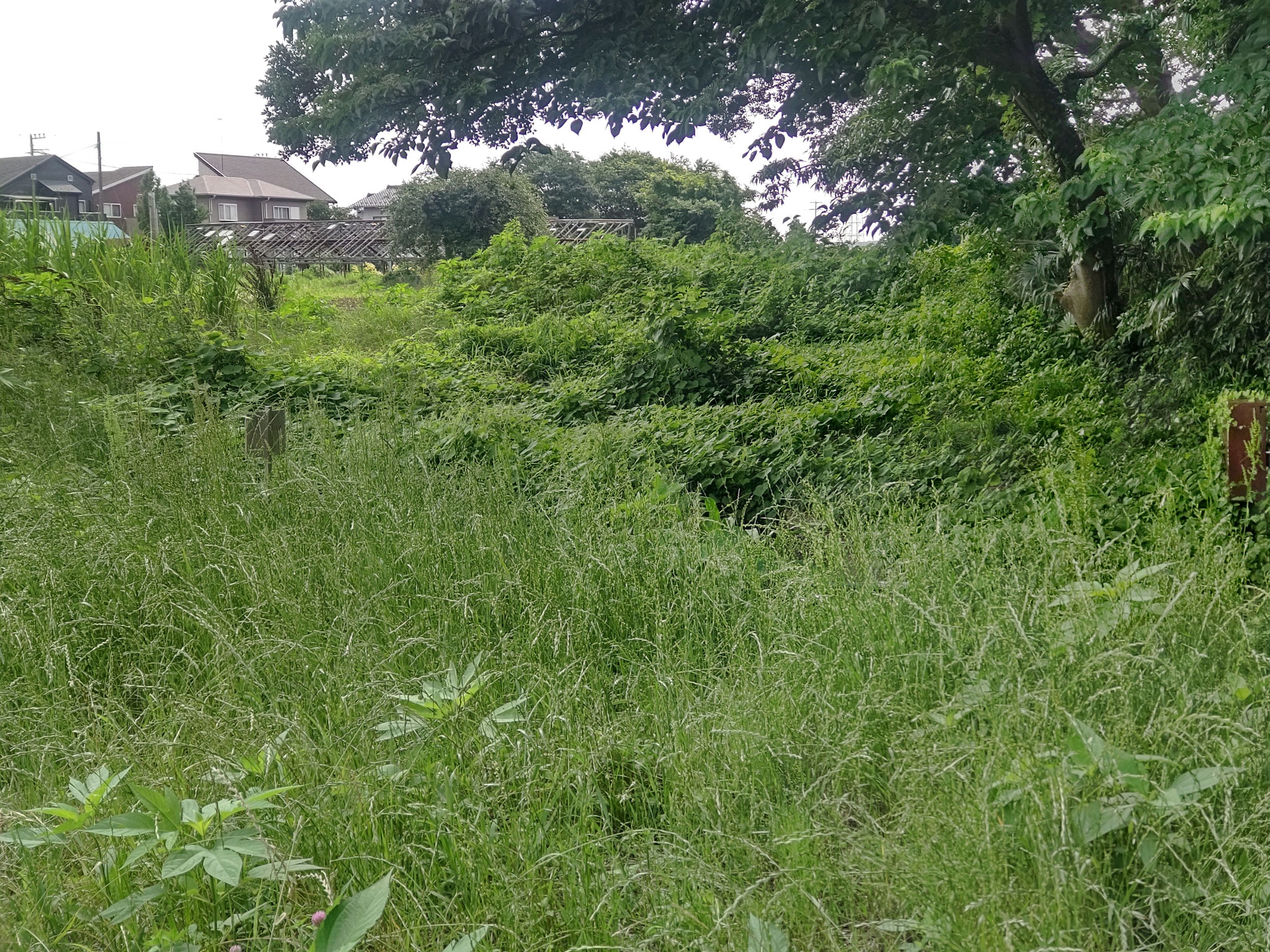 作業前