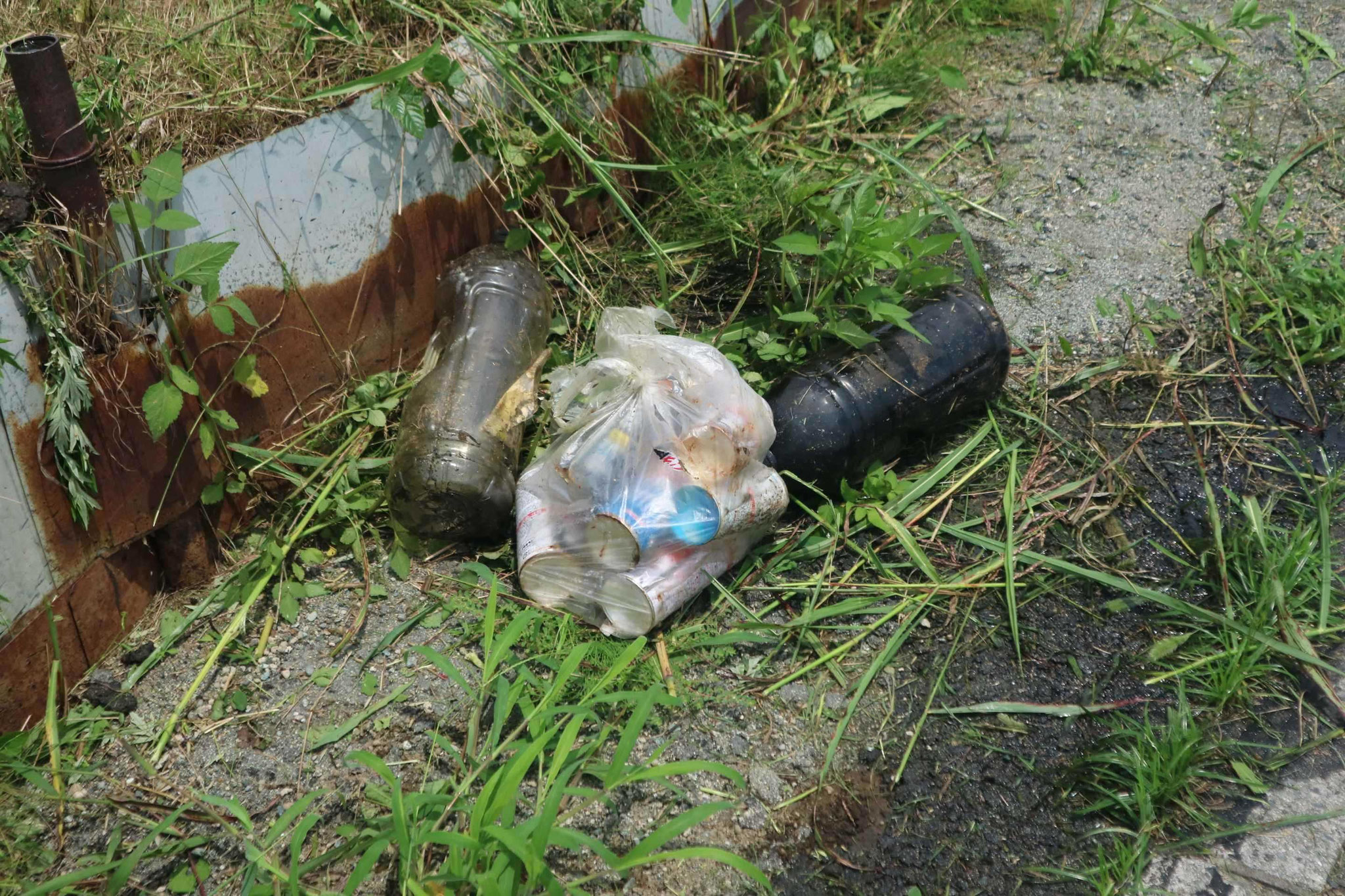 不法投棄