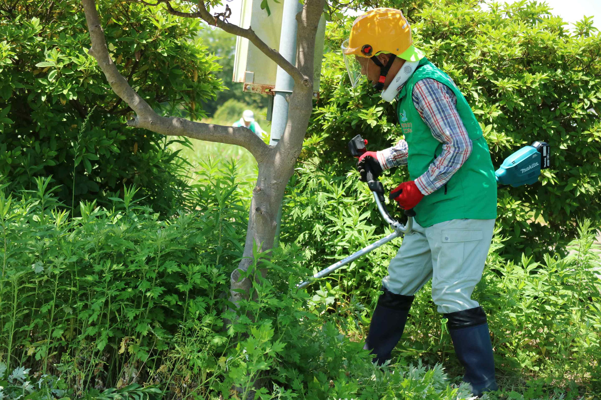 作業中_上合橋袂の小公園の草刈り