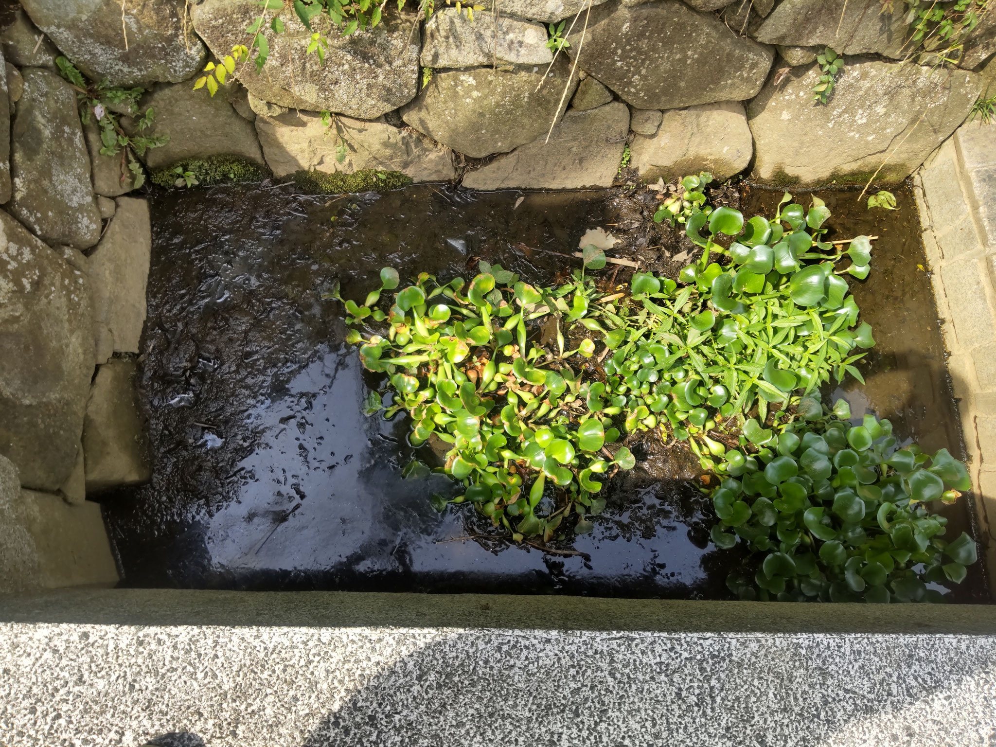 作業前