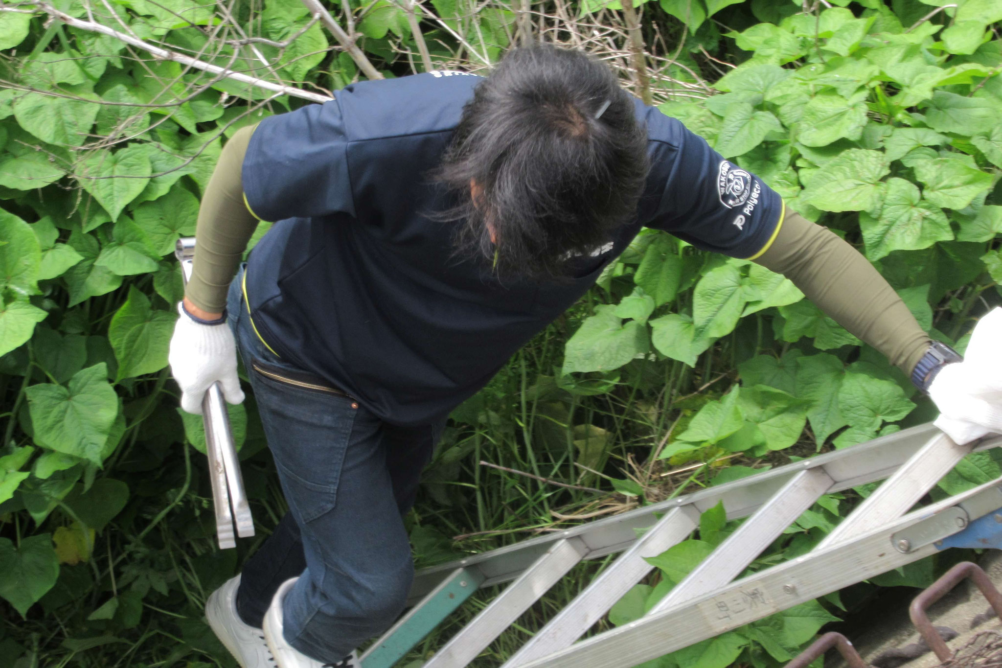 作業中