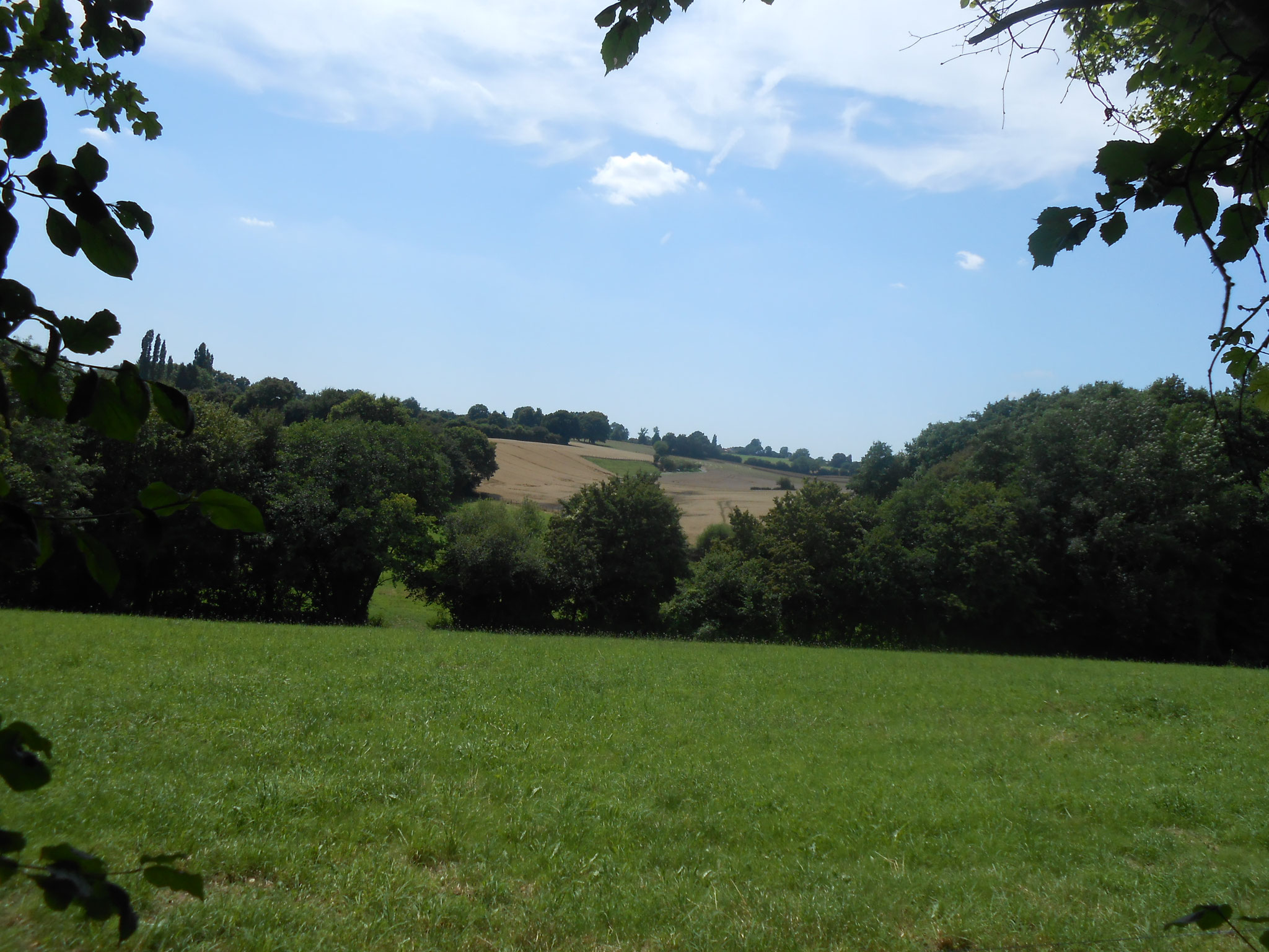 La campagne percheronne...