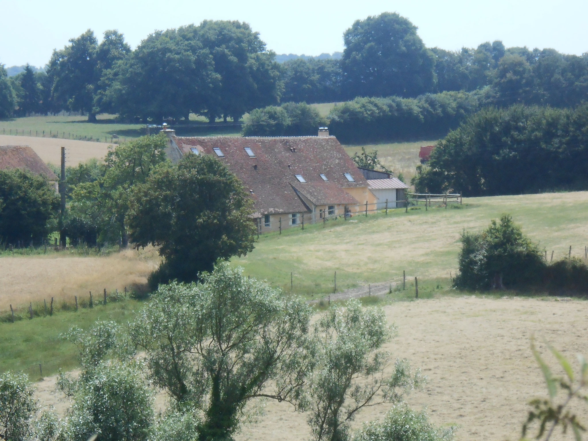 Le gîte au milieu de la verdure percheronne