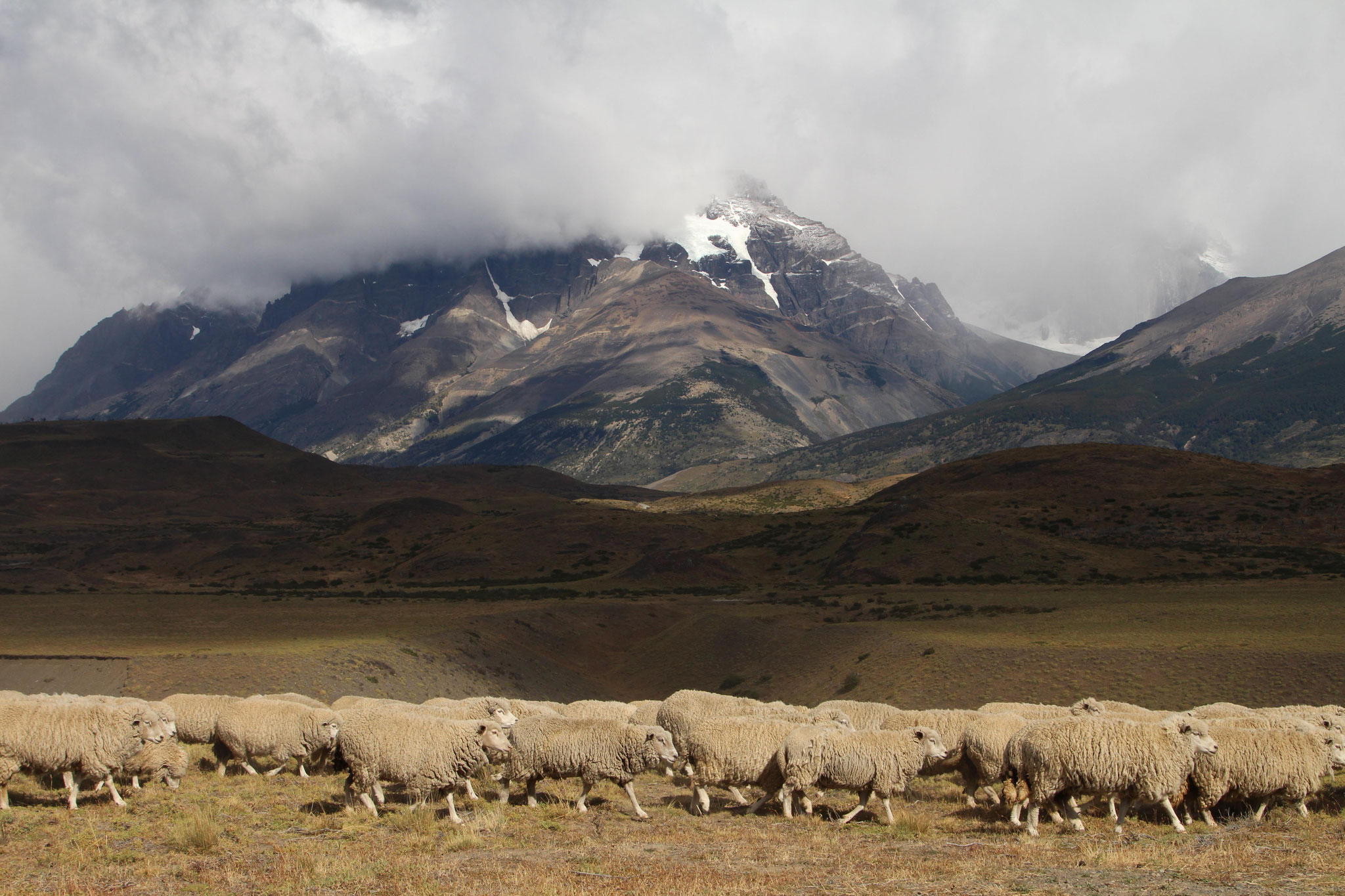 Nationalpark Torres del Paine