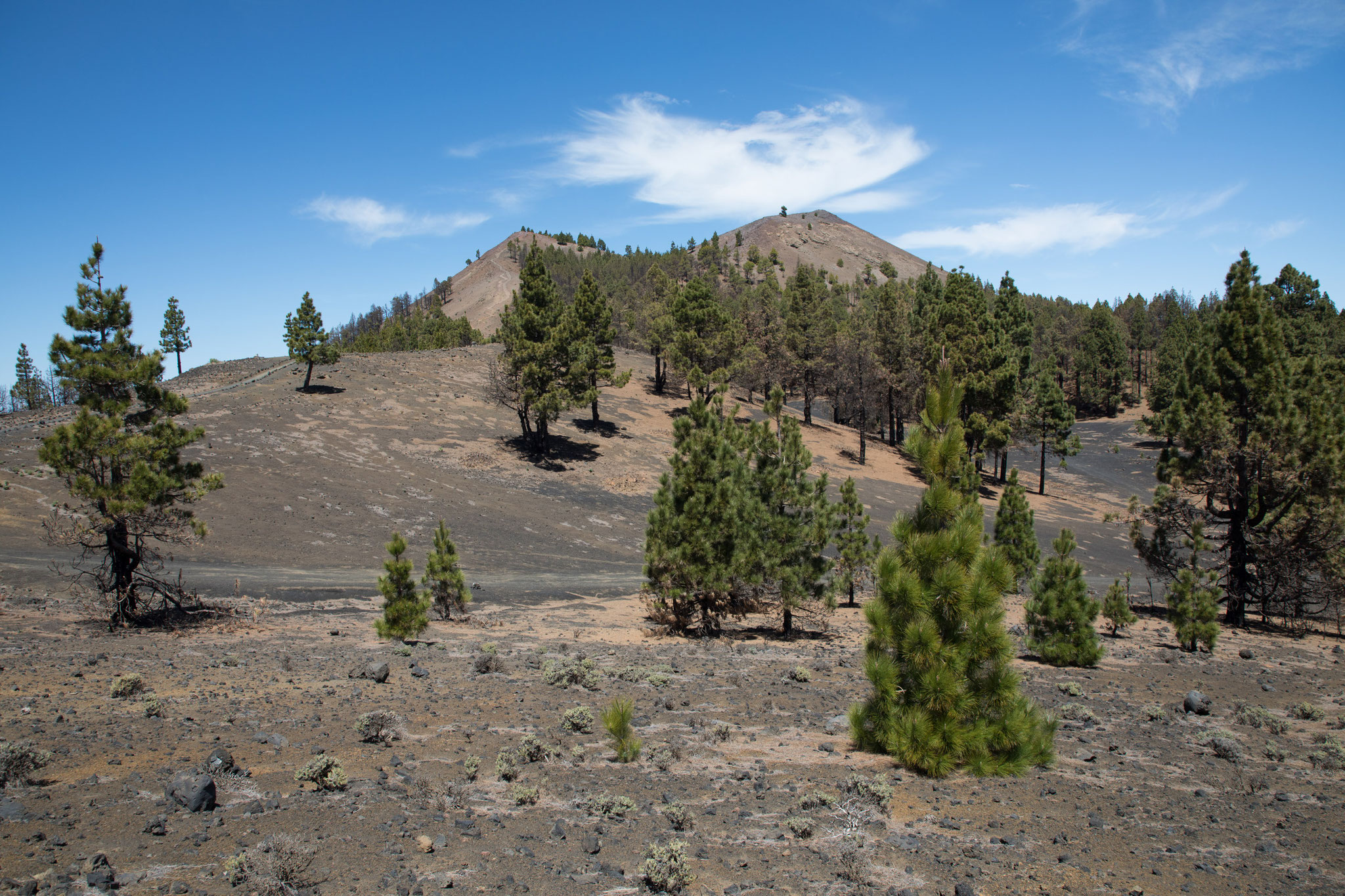 Cumbre Vieja - Wanderung von Vulkan zu Vulkan (von El Pilar nach Fuencaliente)