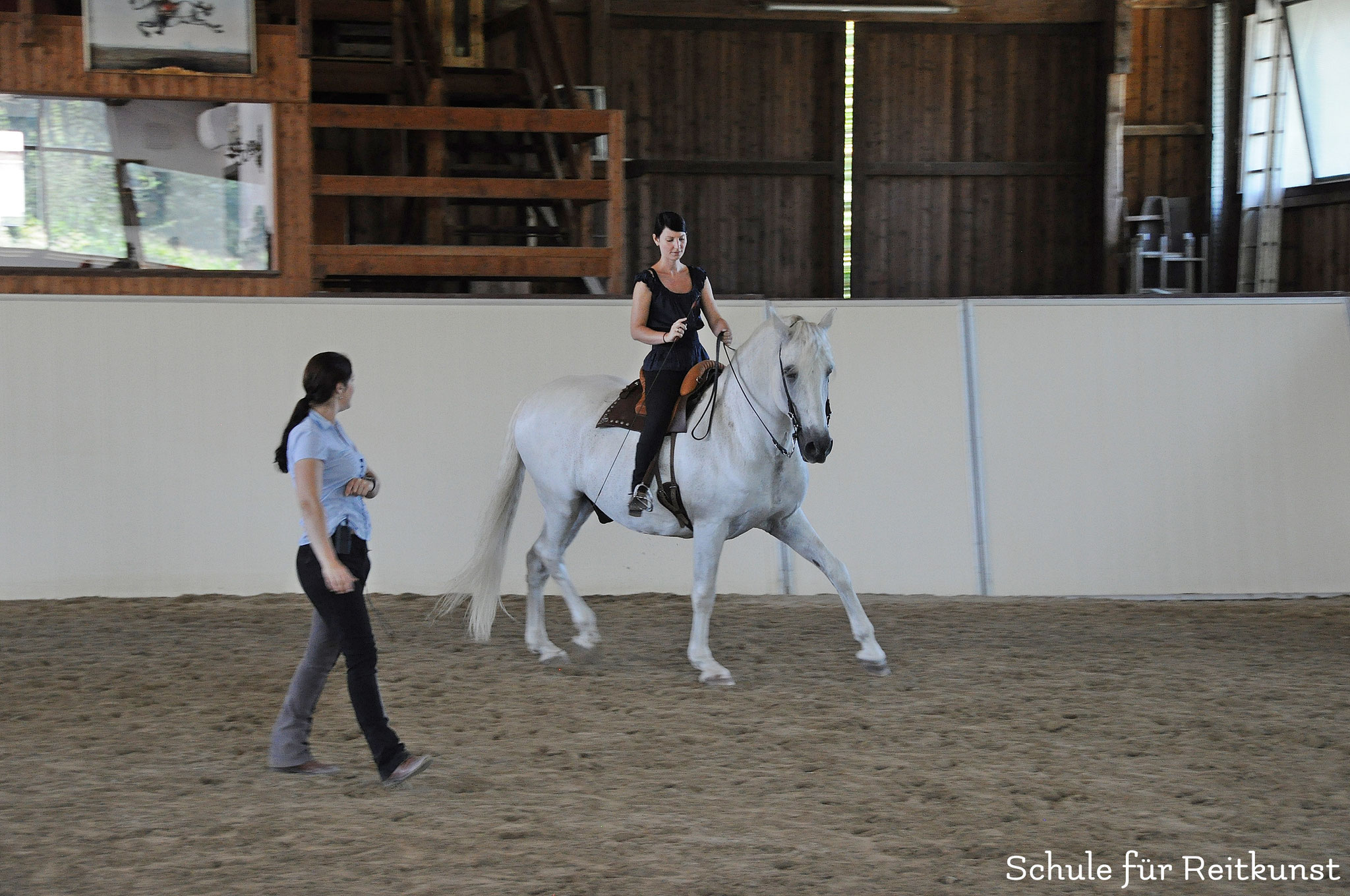 Reitkunst-Seminar mit Rebecca Güldenring