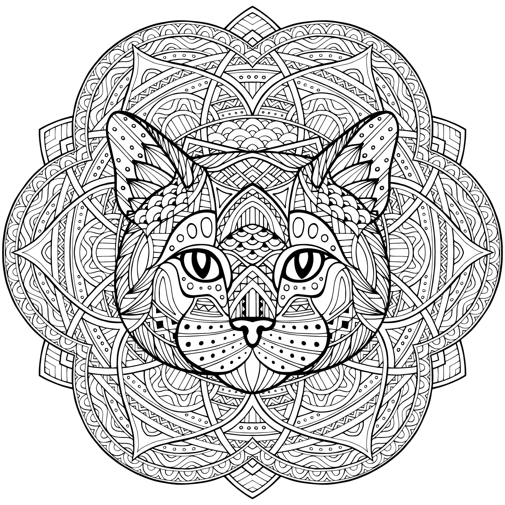 Cat of Magic – Seelenbild für intuitive Magie, nächtliche Klarheit und die stille Kraft, zwischen Sichtbarem und Unsichtbarem zu wandeln.