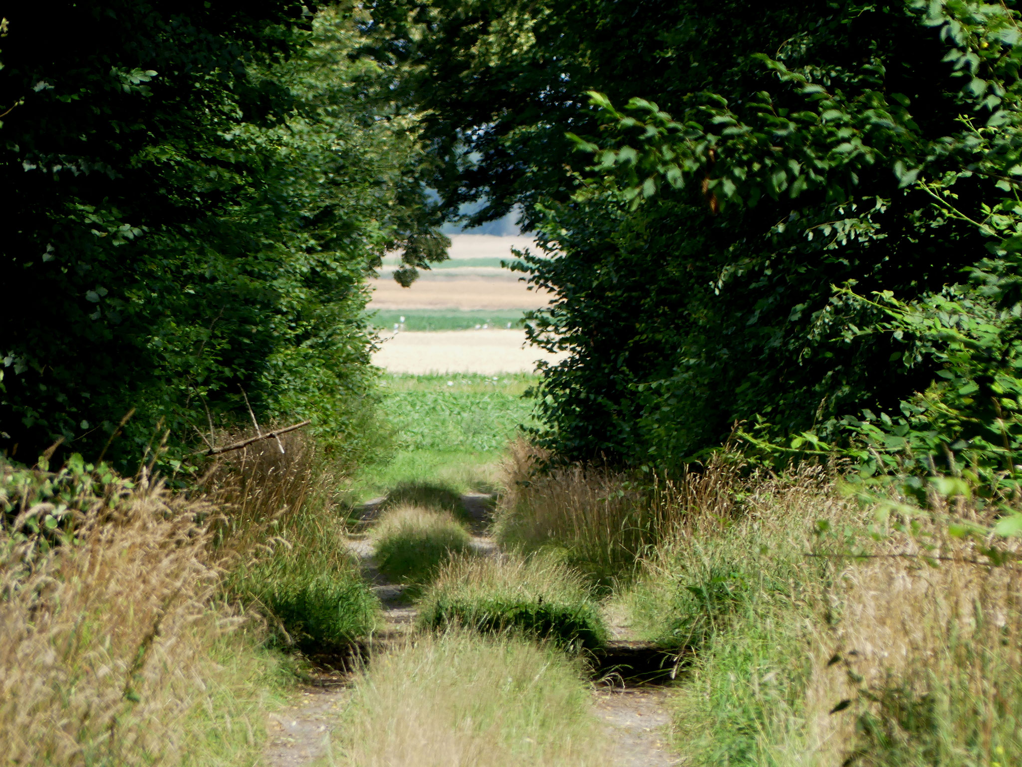 Unterwegs Richtung Villewälder