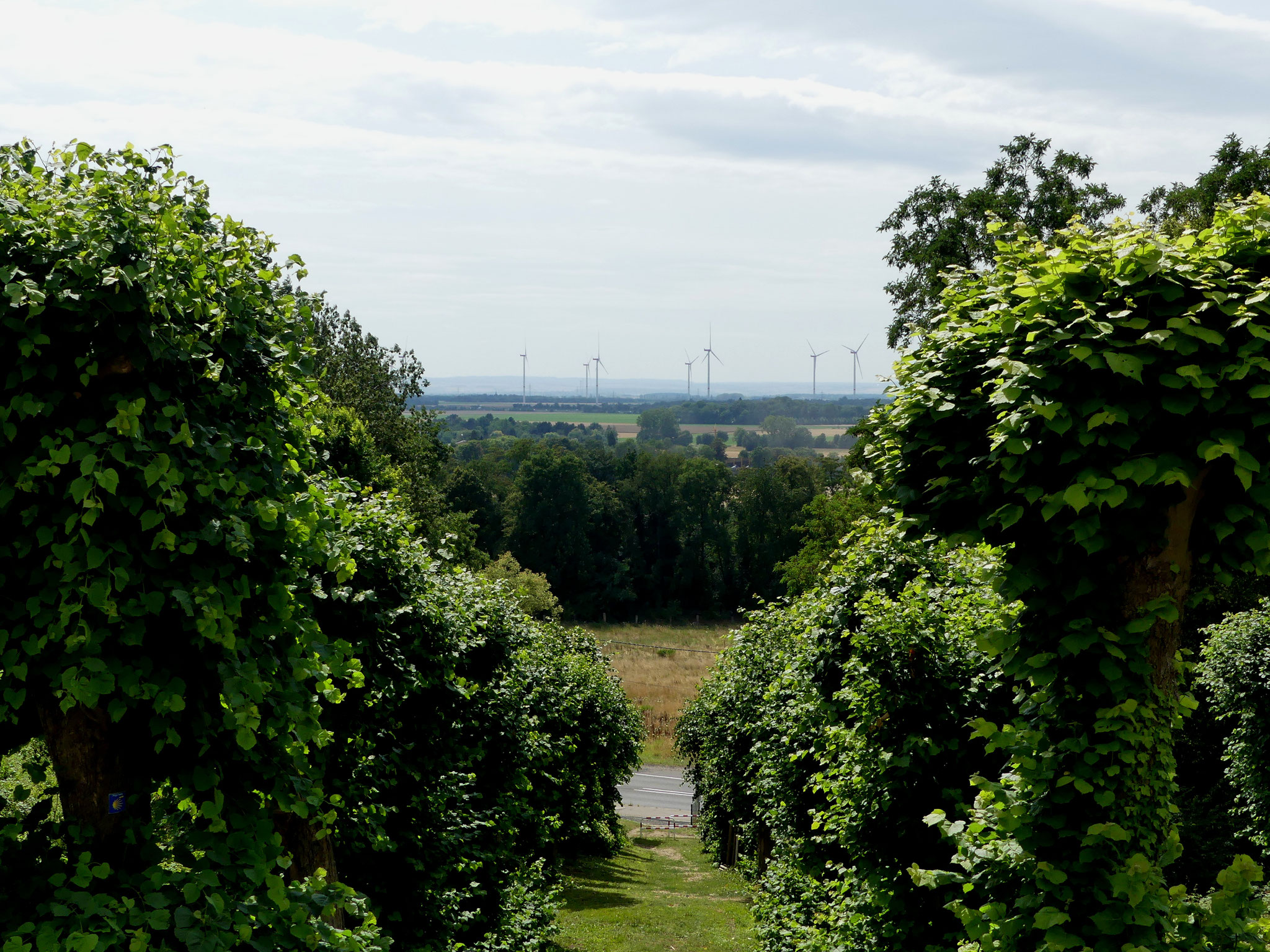 Blick vom Swister Türmchen nach Südwesten