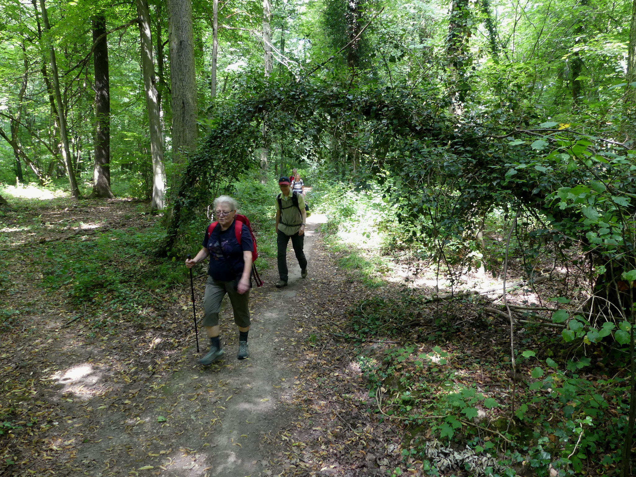 Auf dem Zuweg zum Swister Türmchen
