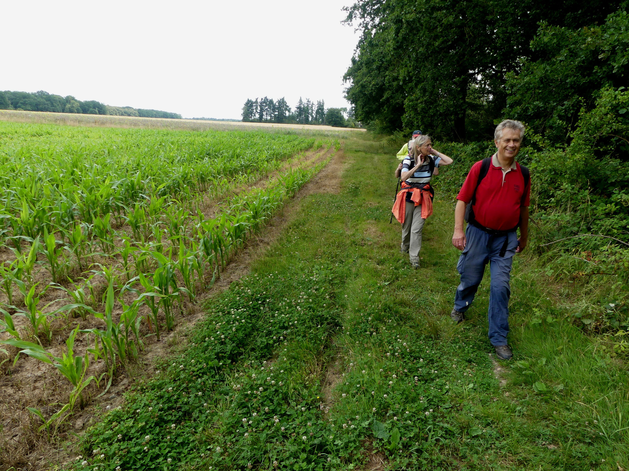 Durch die Ville zum Wülfinghof