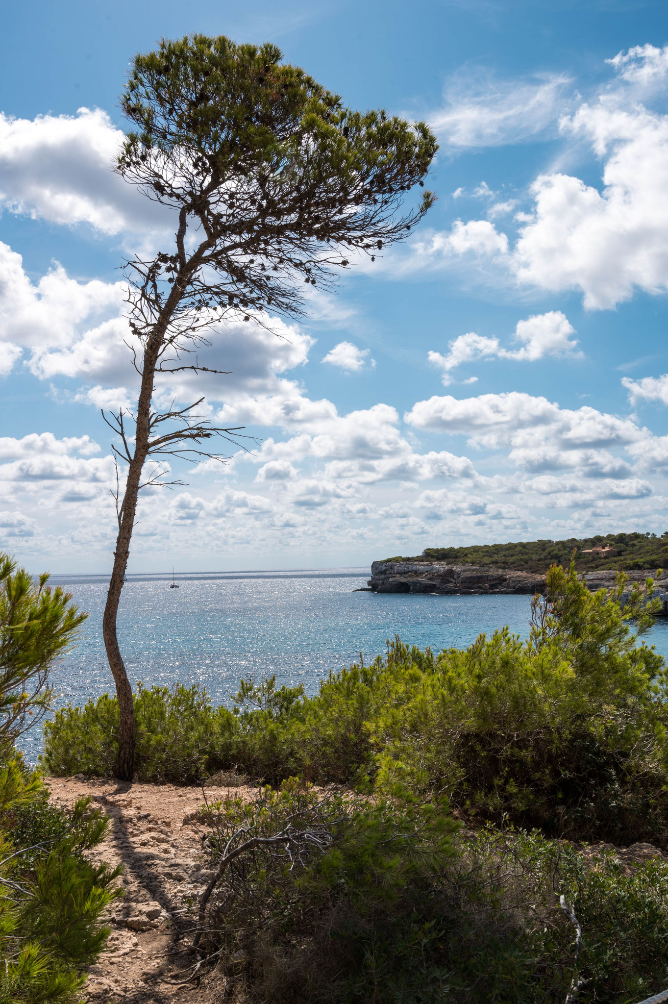Cala d'en Borgit Beach