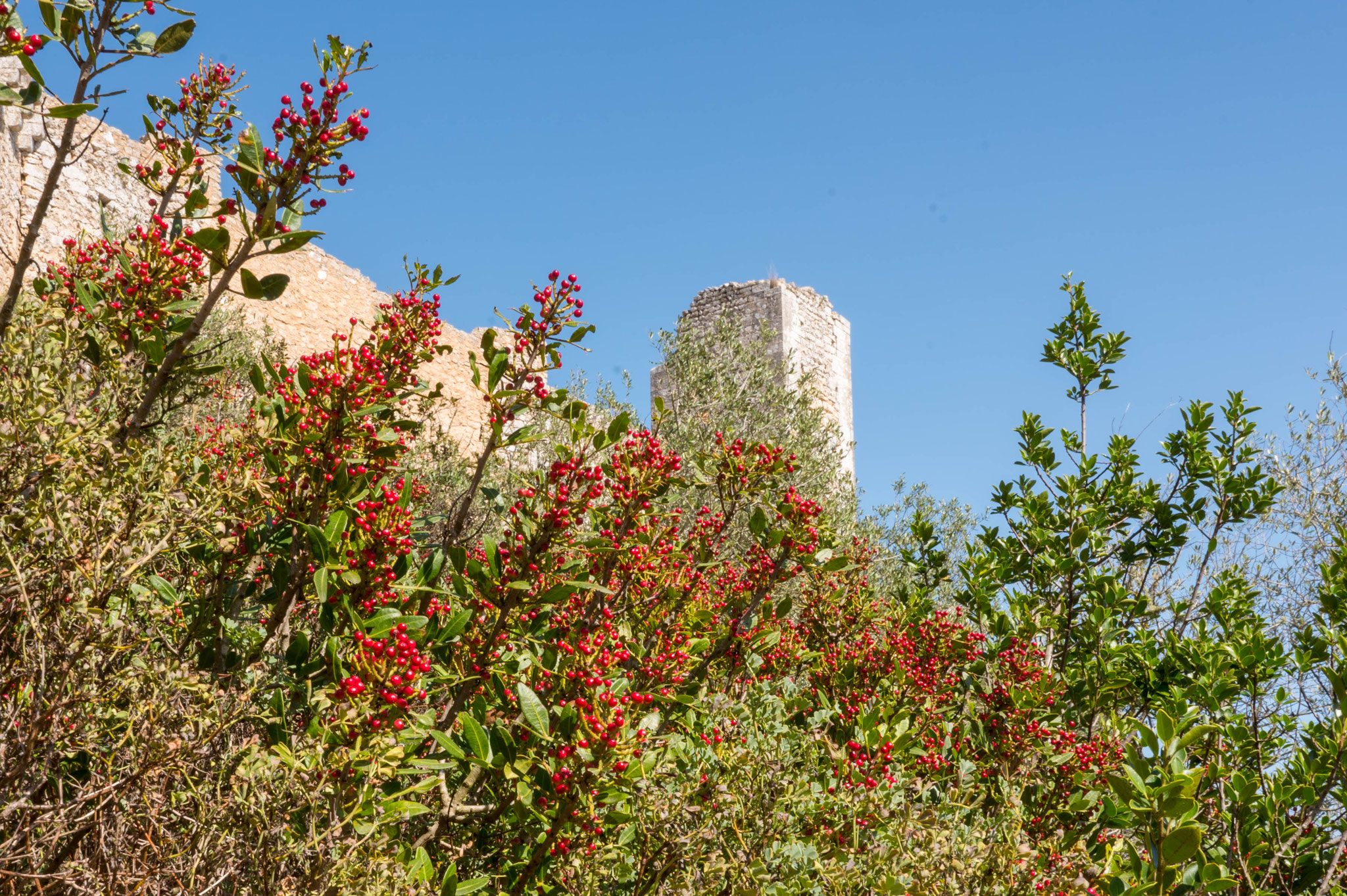 Festungsanlage