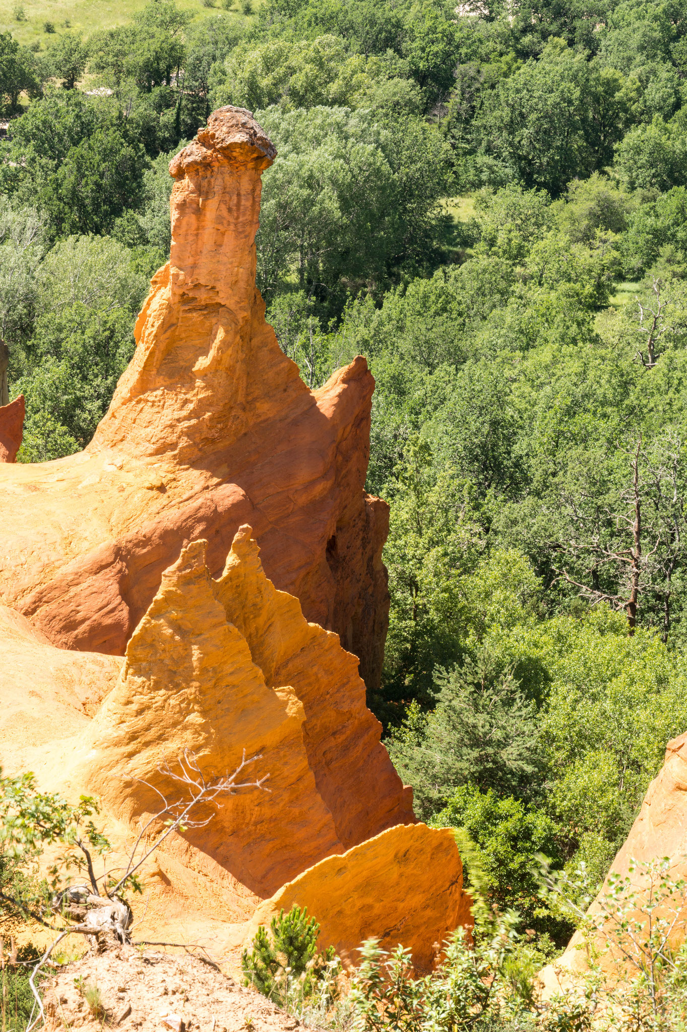 le Provençal Colorado