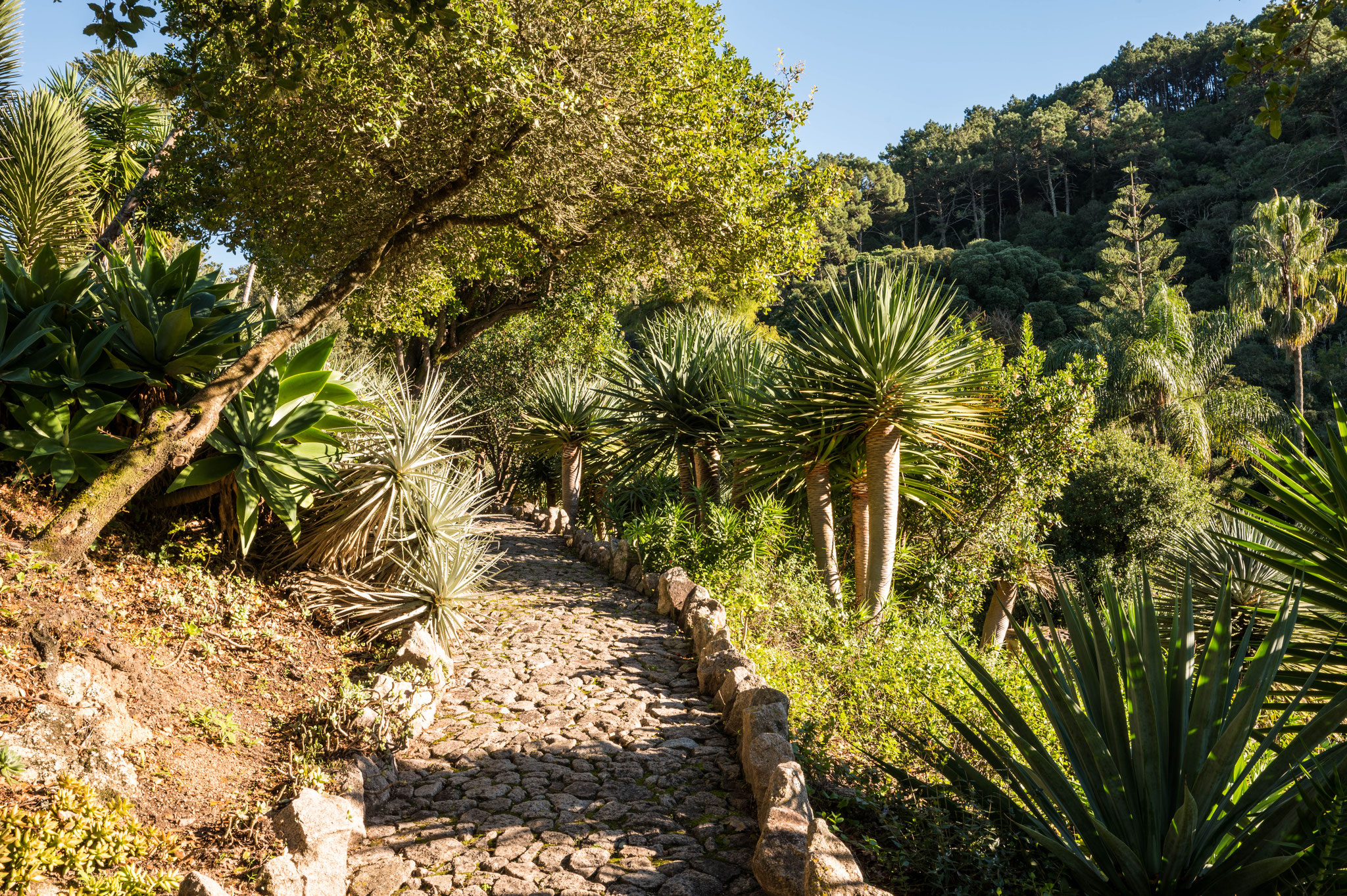Park von Monserrate