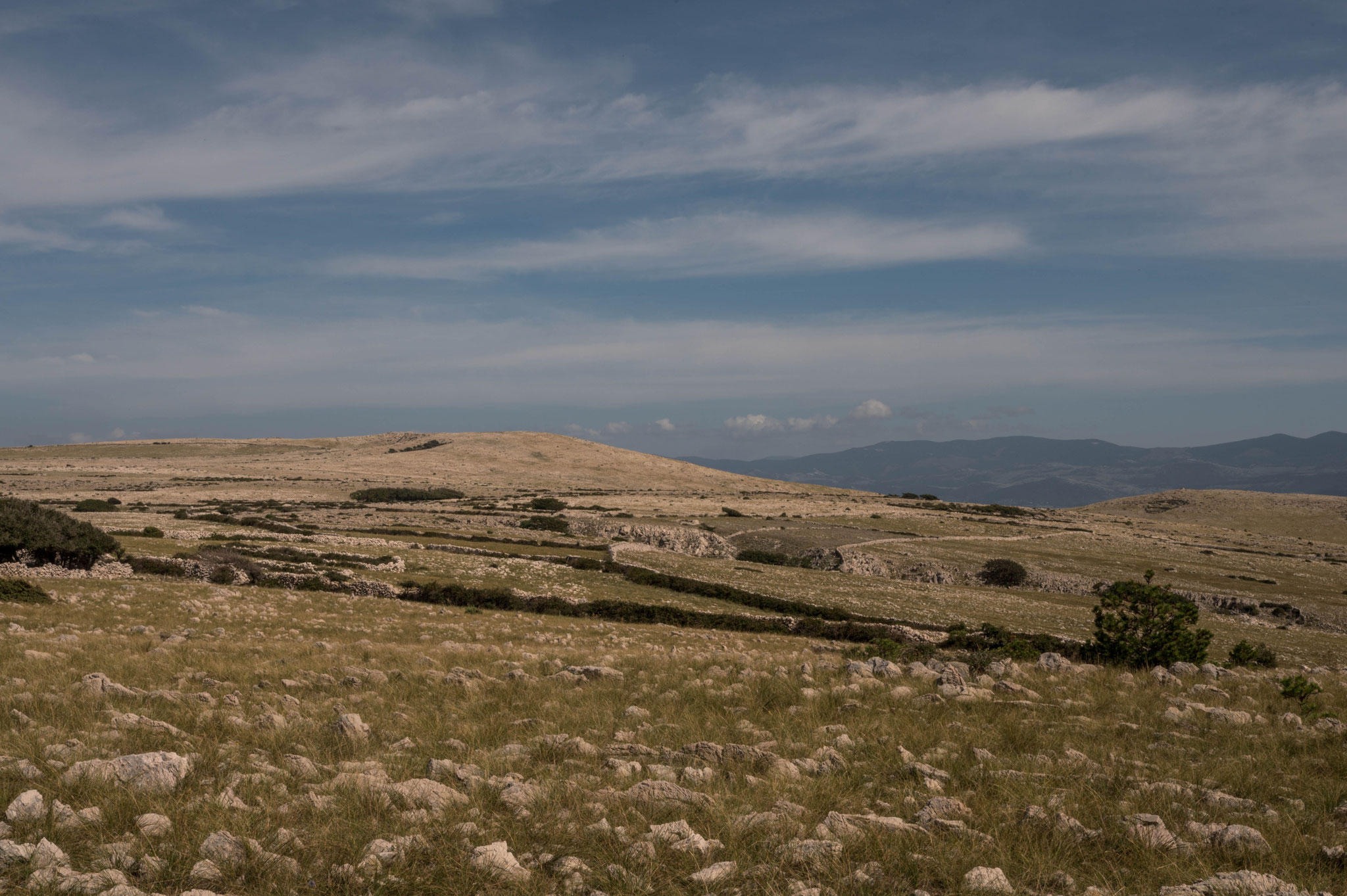 über dem Pinienwald, eine karge Landschaft