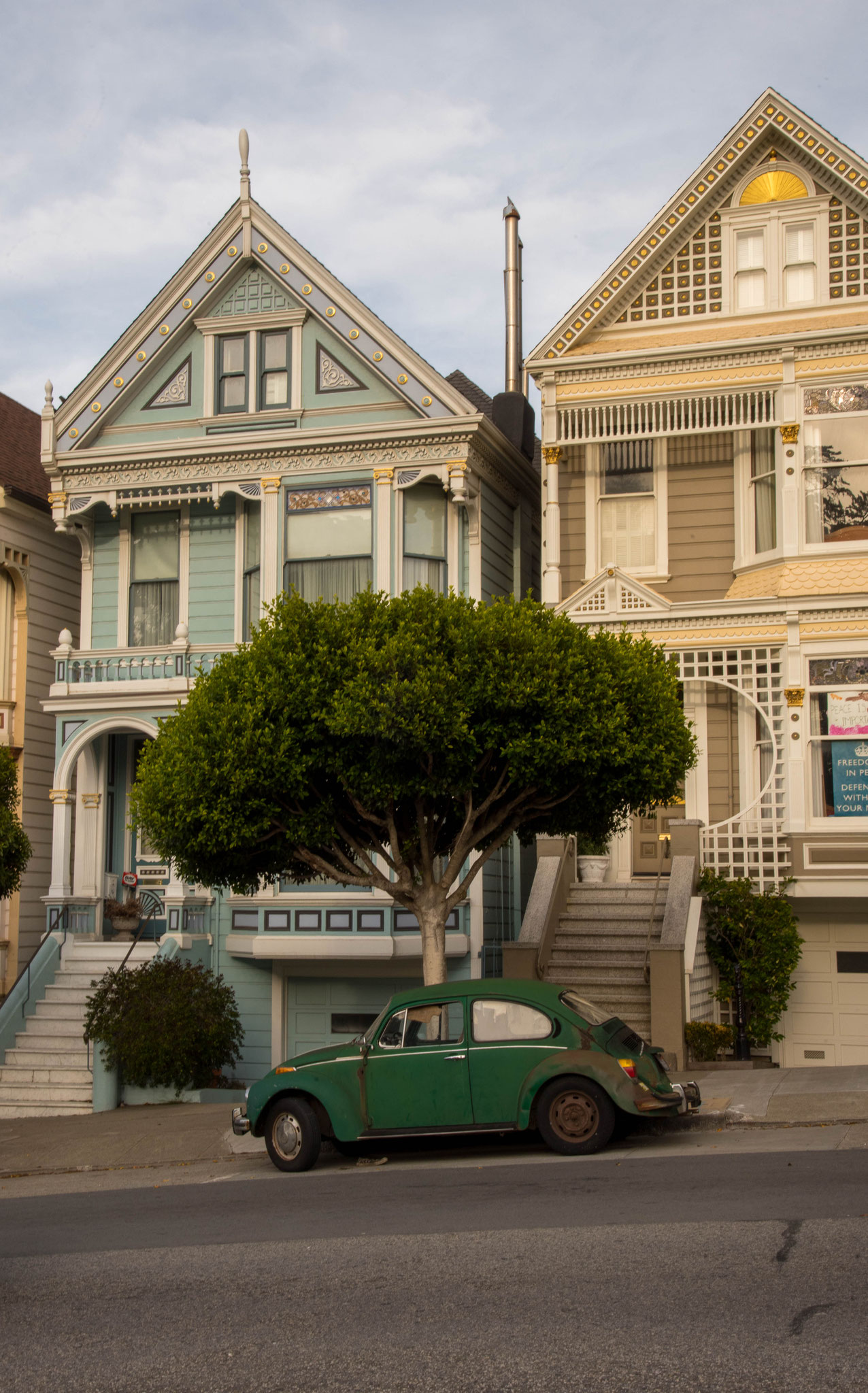 Painted Ladies