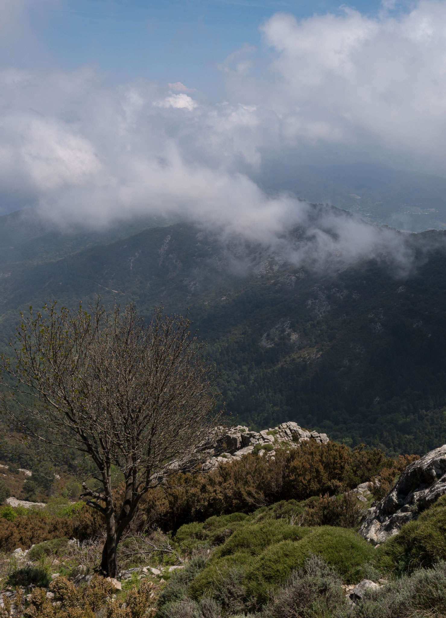 Aussicht vom Monte Capanne