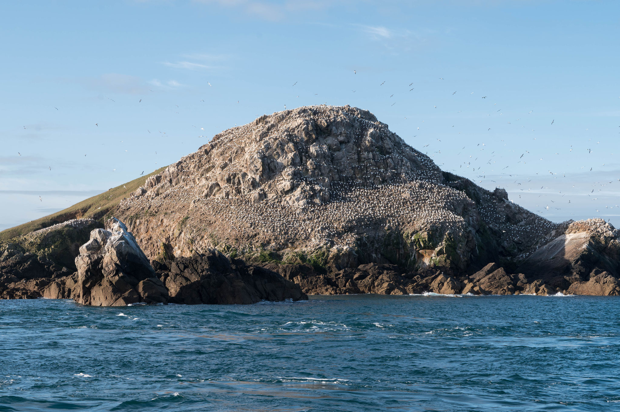 Île Rouzic 