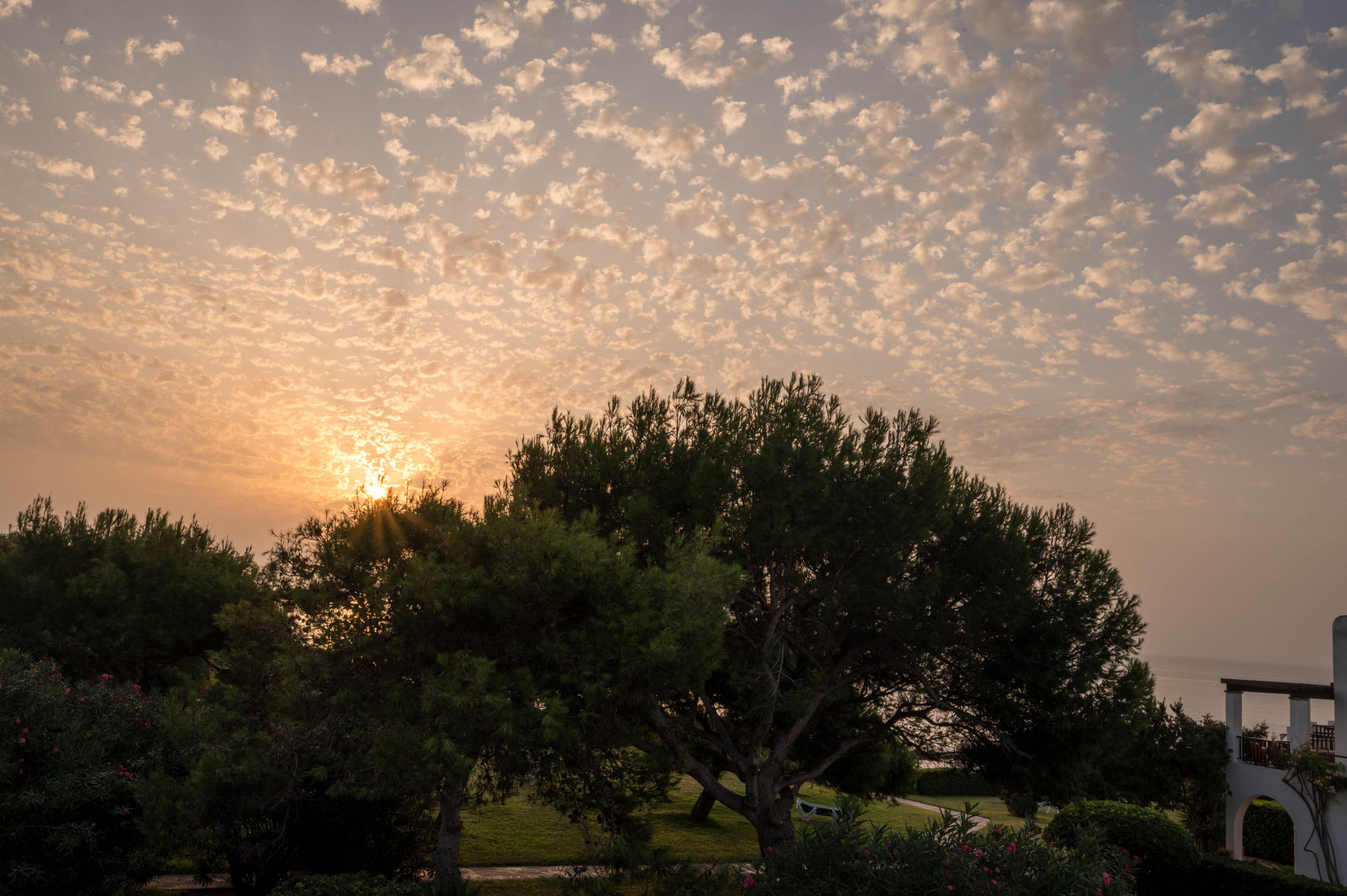 Sonnenaufgang über dem Parque Mar