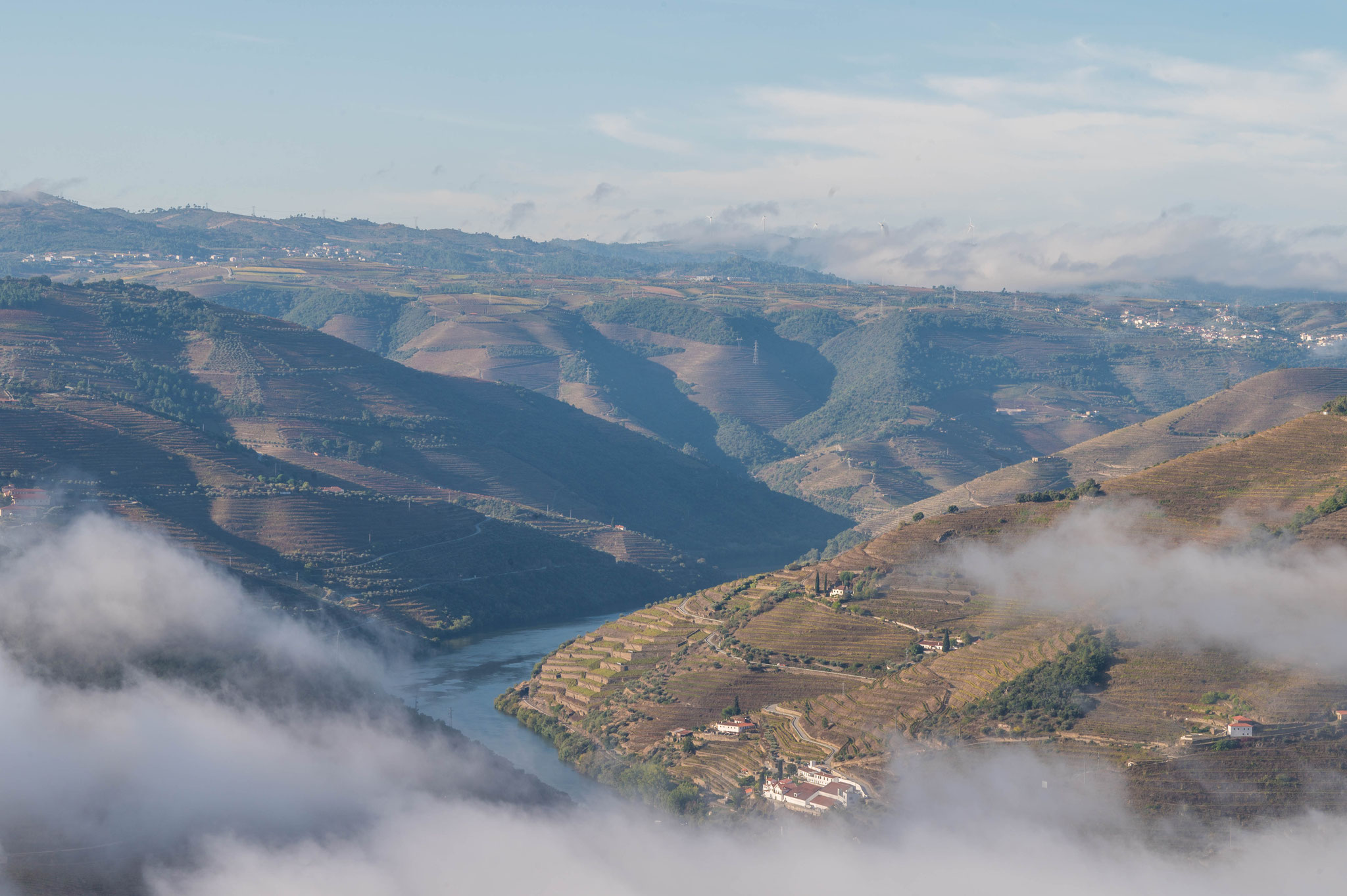 Am Morgen hat es Nebel über dem Douro