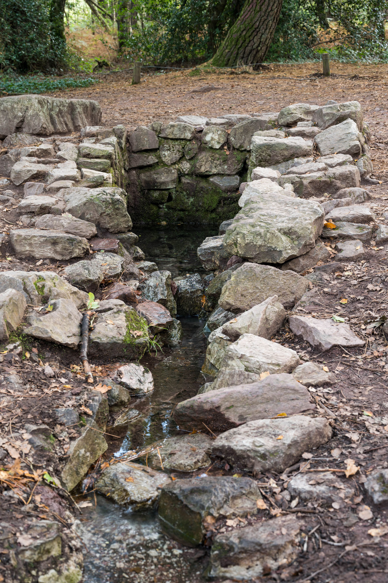 Fontaine de Barenton