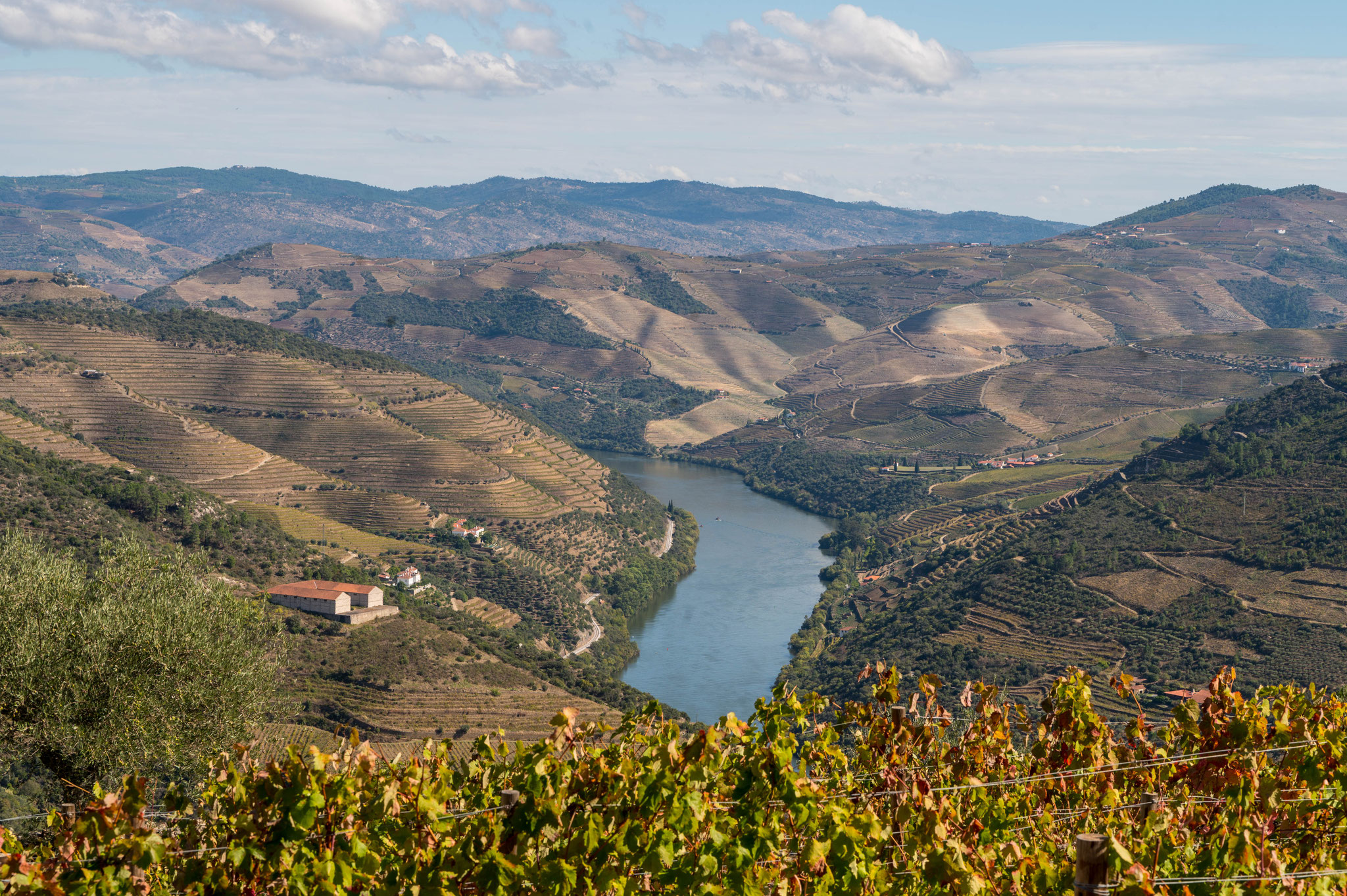 Aussicht auf den Staussee