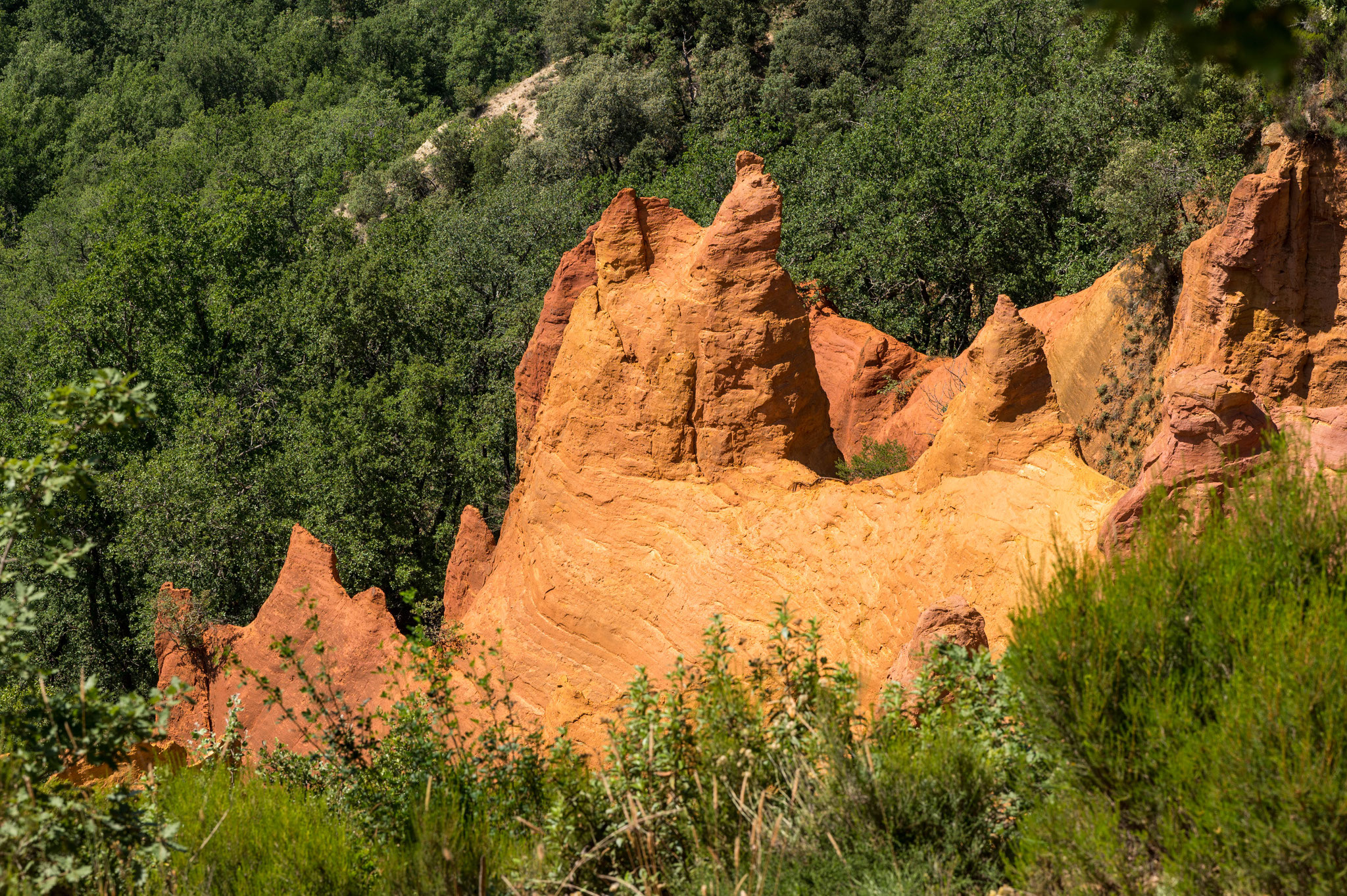 le Provençal Colorado