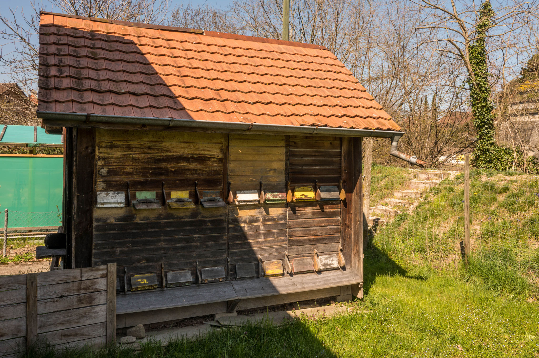 Bienenhaus mit Charakter