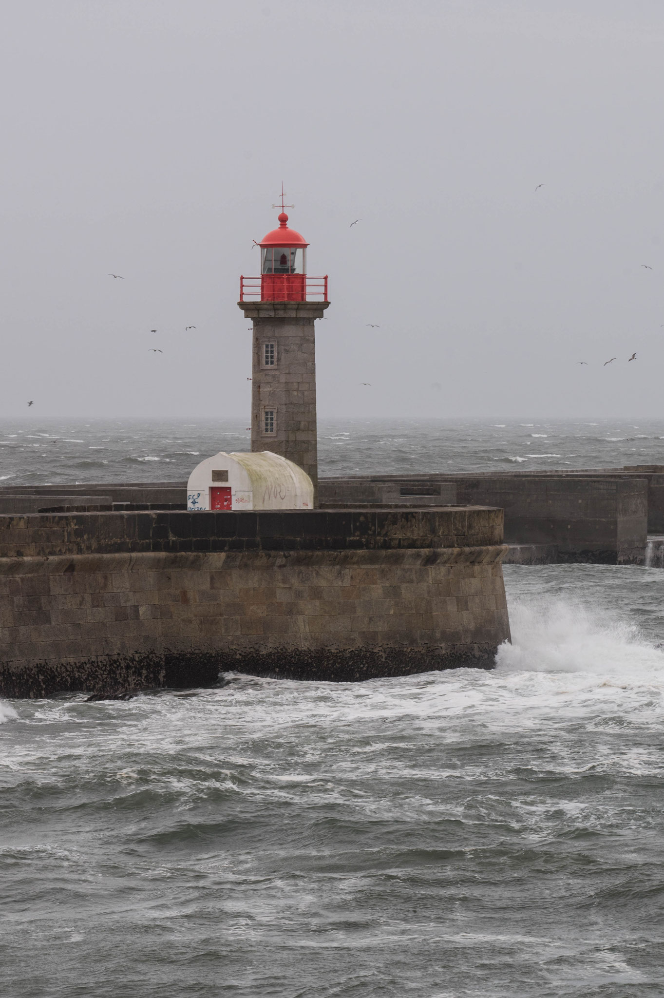 am Meer