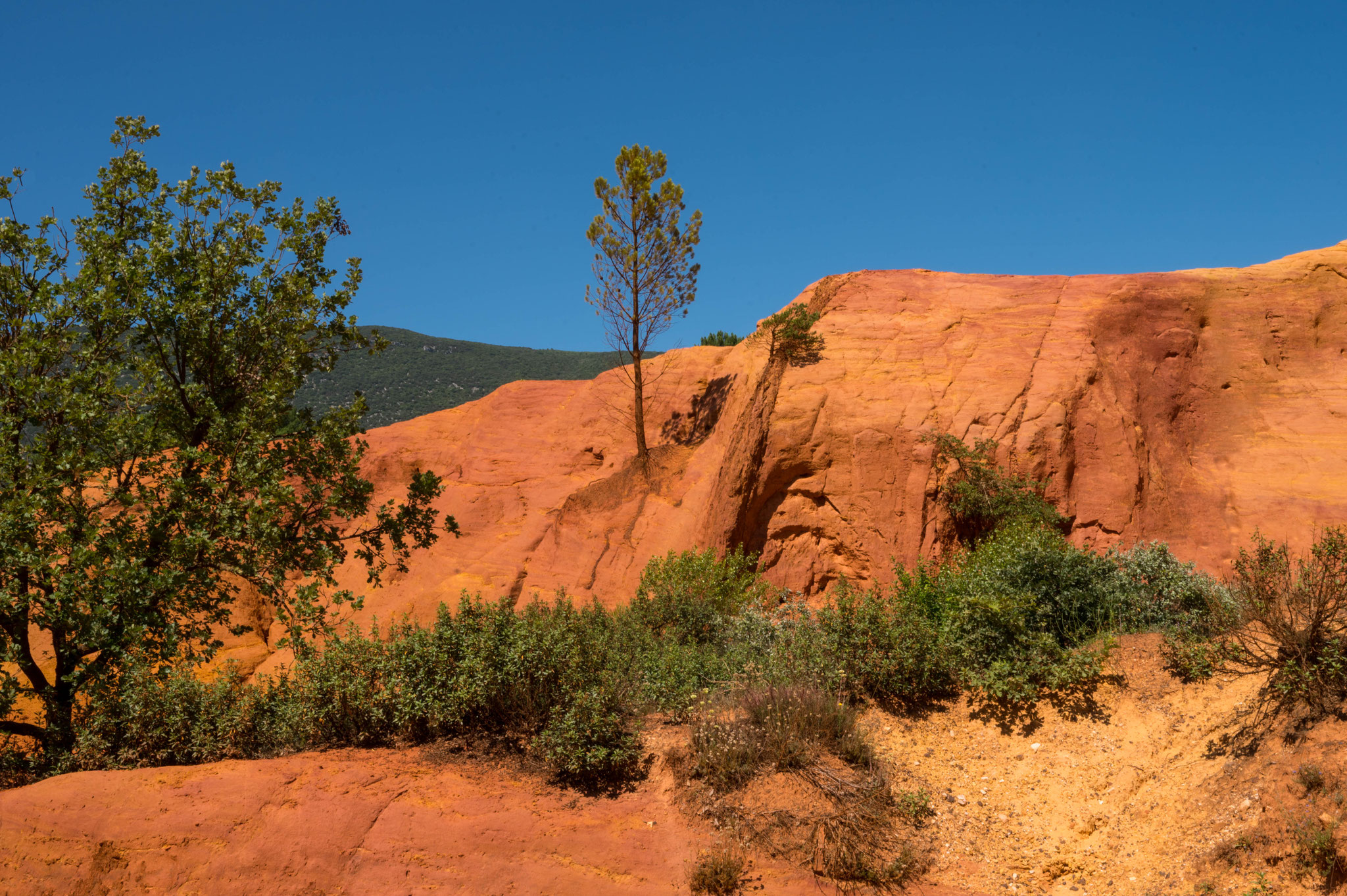 le Provençal Colorado