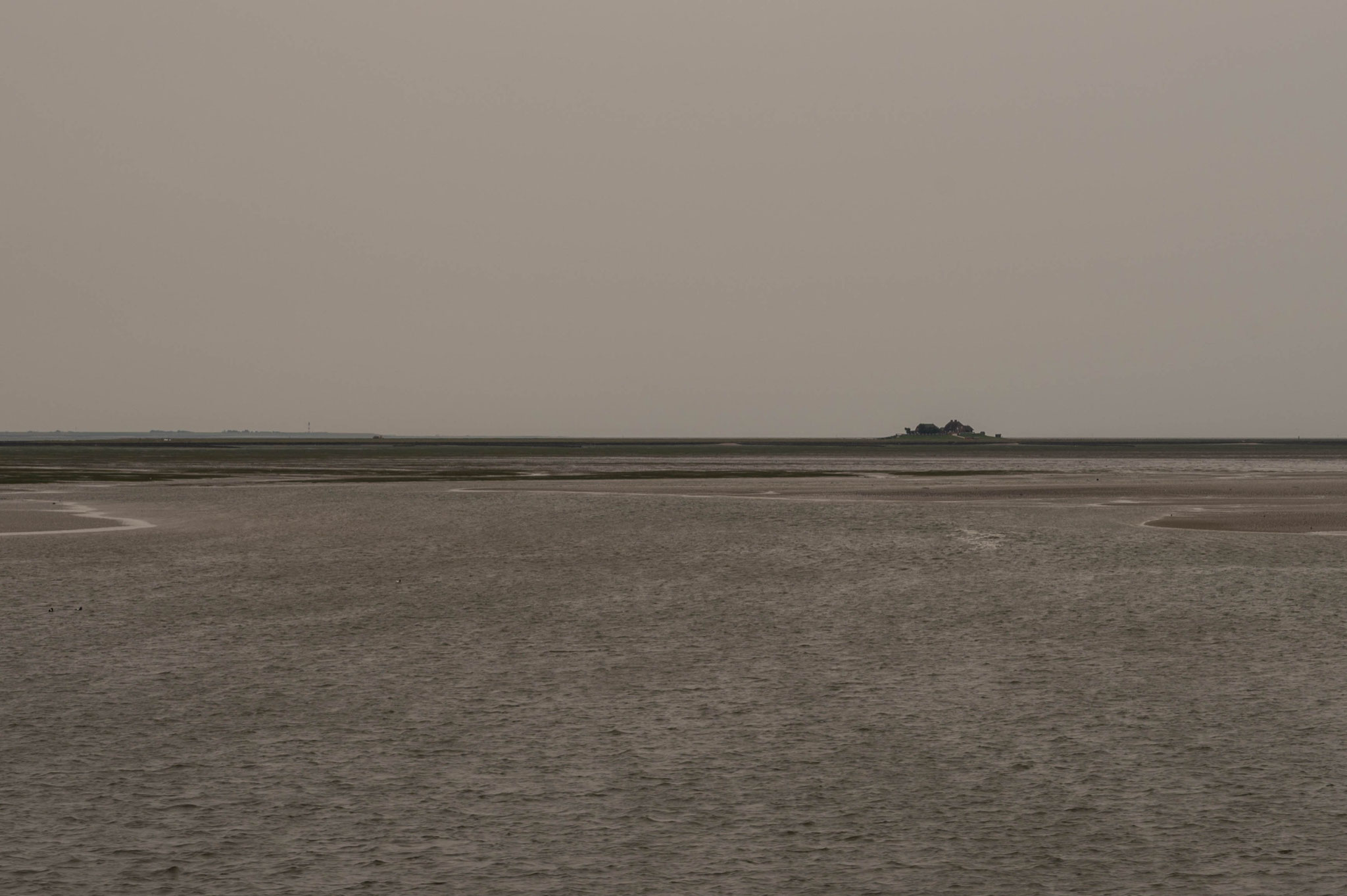 Hallig Südfall