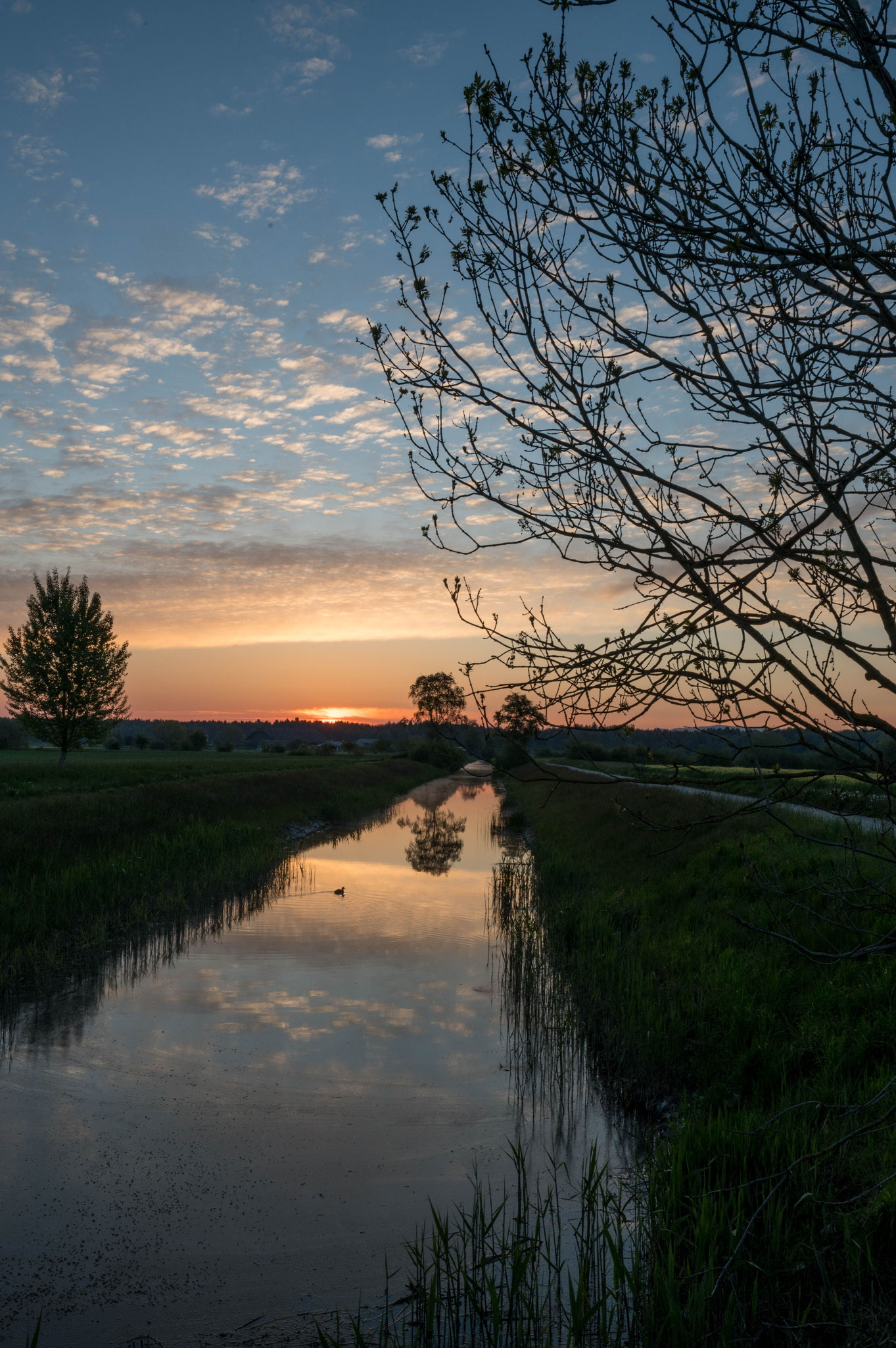 Morgenstimmung bei Ins