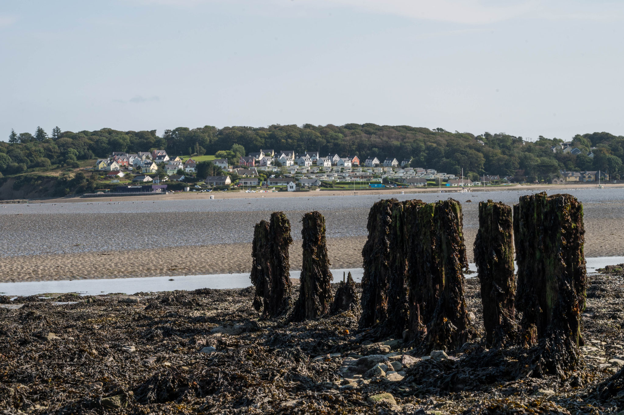 Bucht bei Burren Kilbrittain