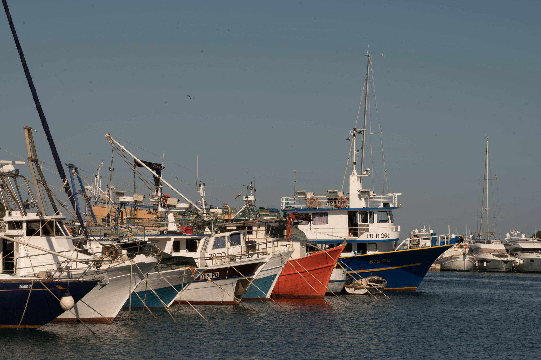 im Hafen von Vrsar