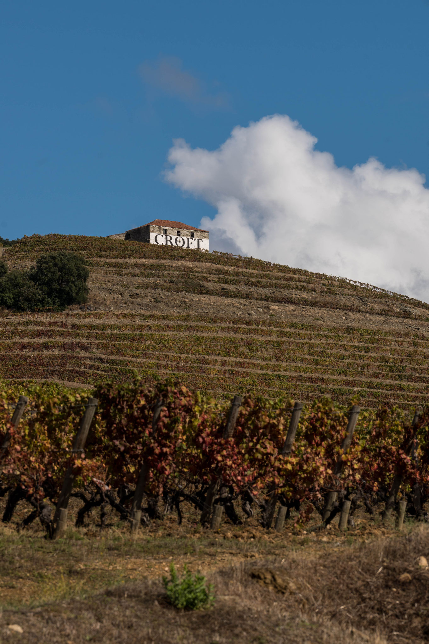 das Weingut Croft stellt einen guten Portwein her