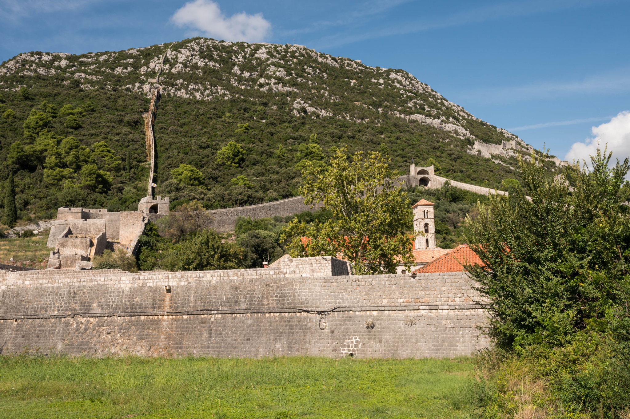 Ston