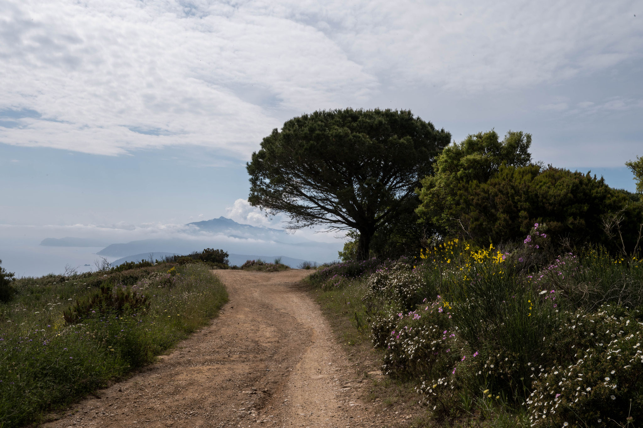 auf den Monte Calamita