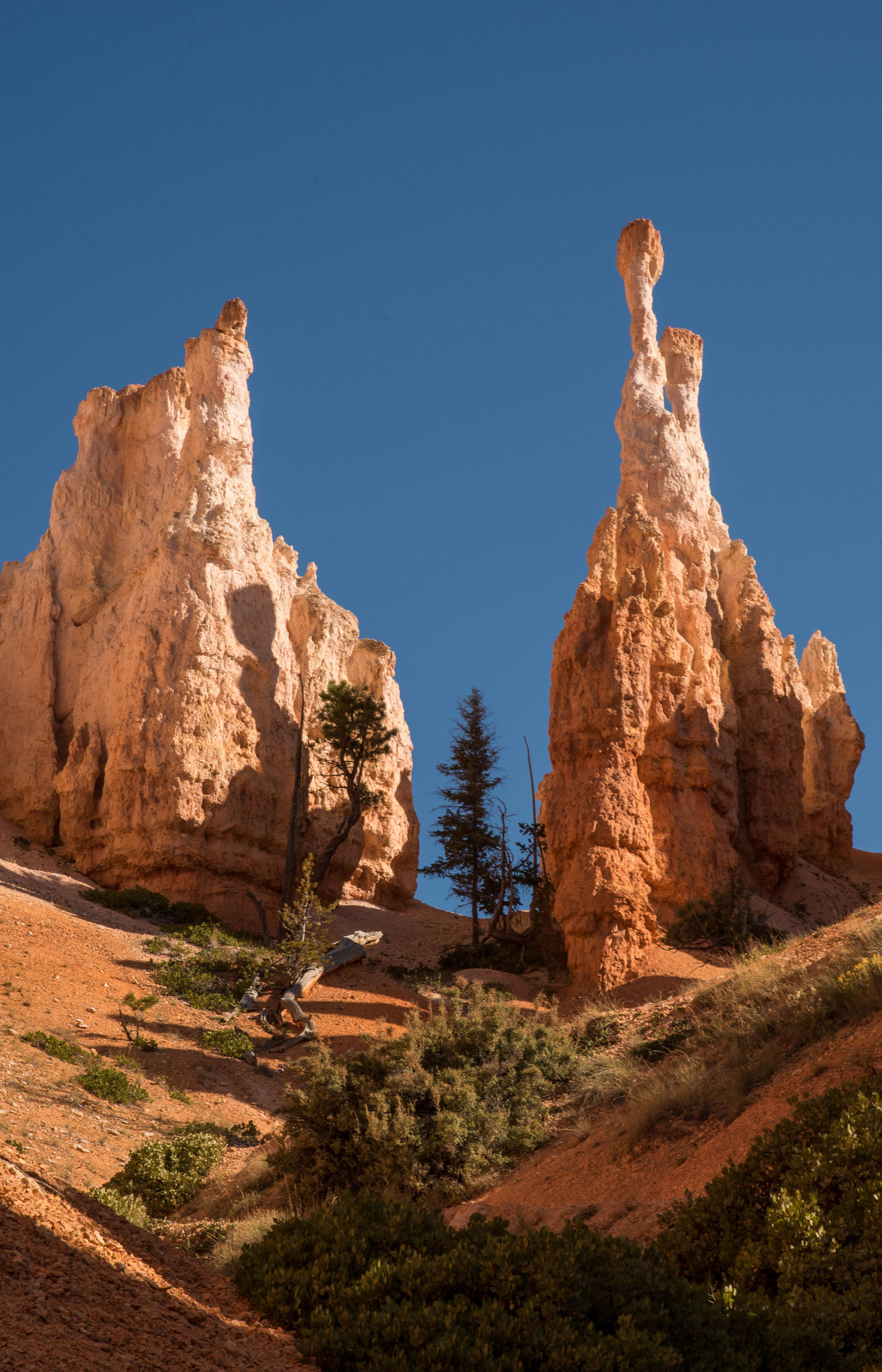 Bryce- Canyon