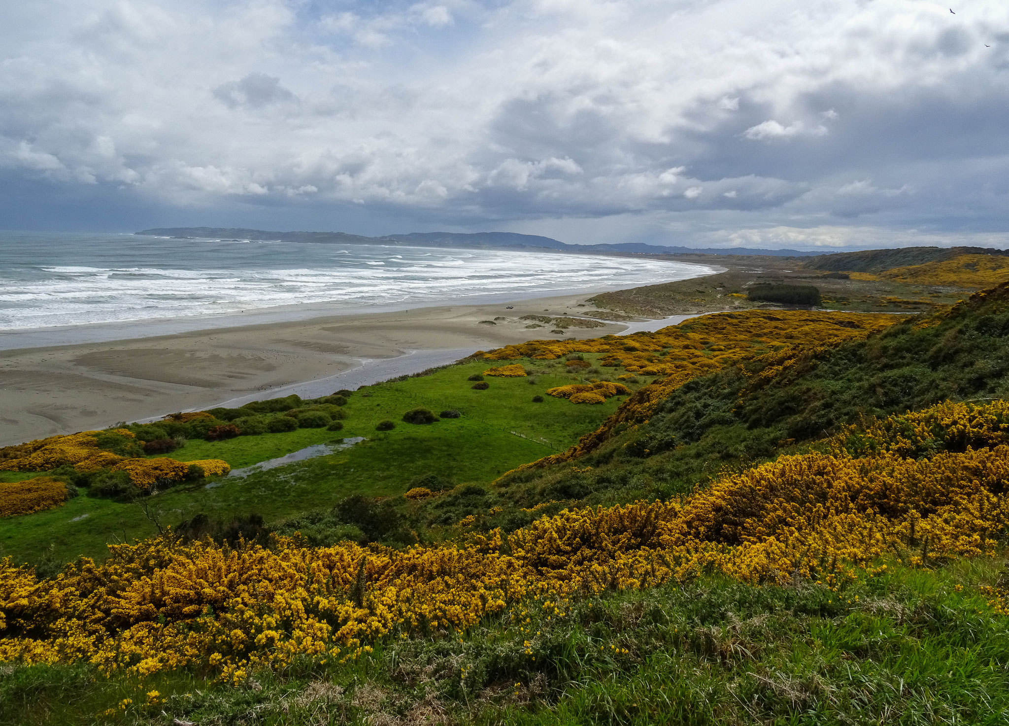 Pazifikküste auf der Insel Chiloe