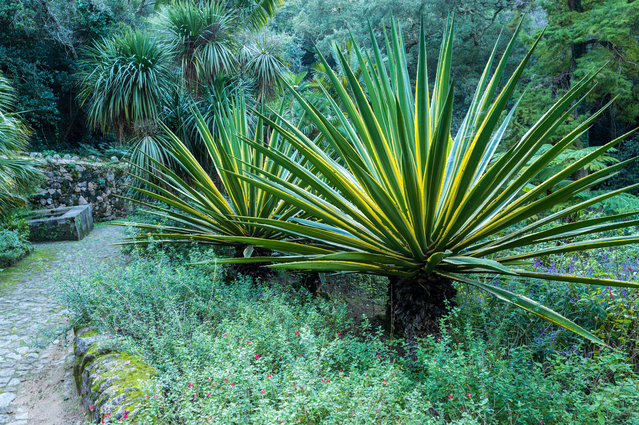 Park von Monserrate