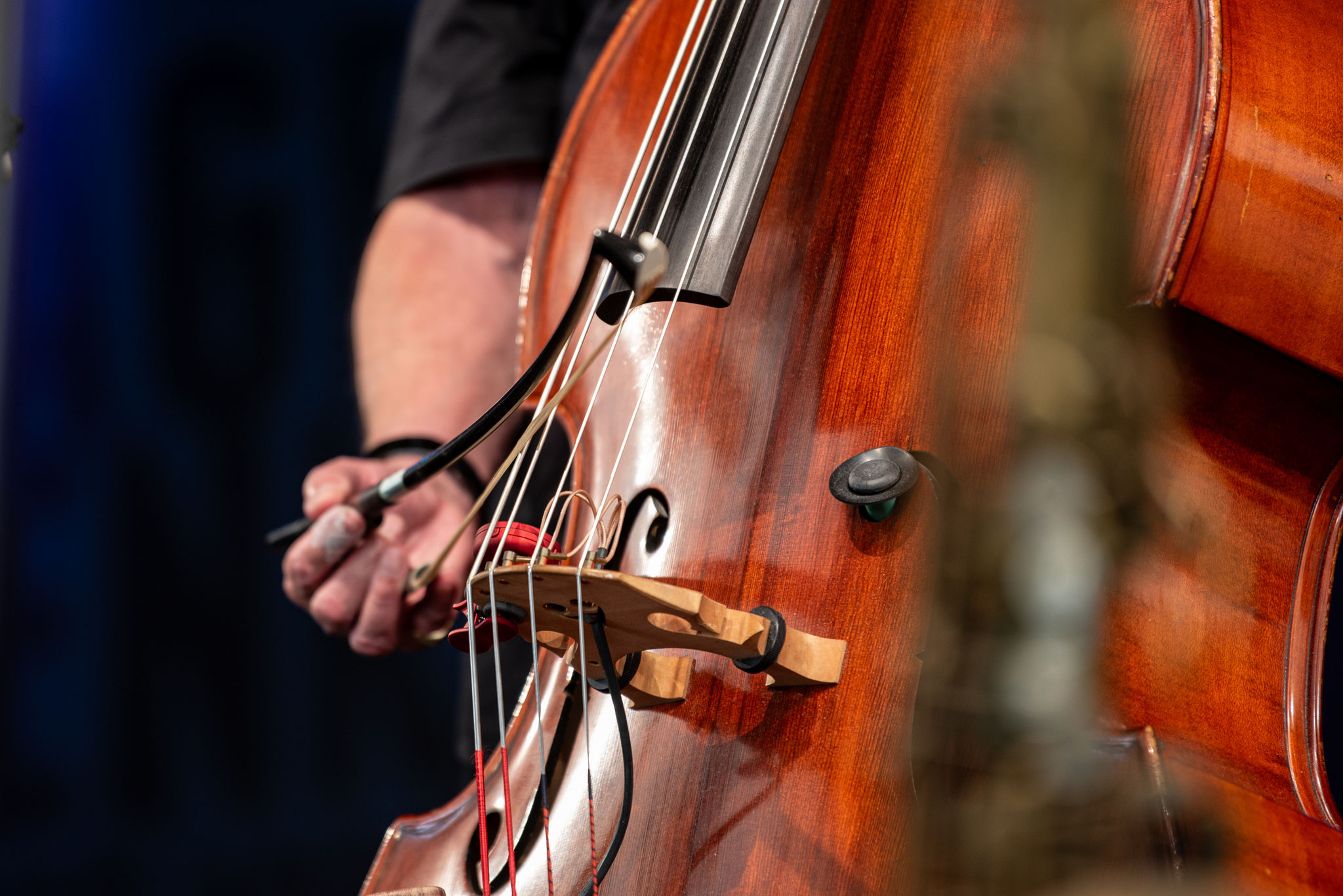 Contrabass